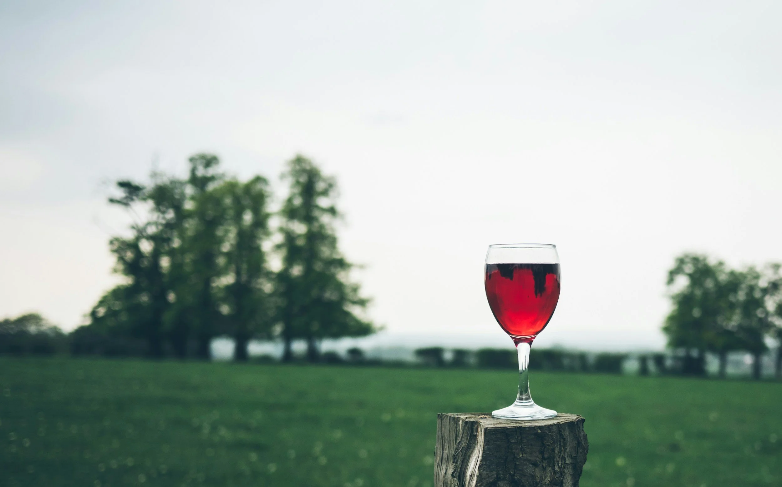Dry January: Giving Your Kidneys a Healthy Start to the Year