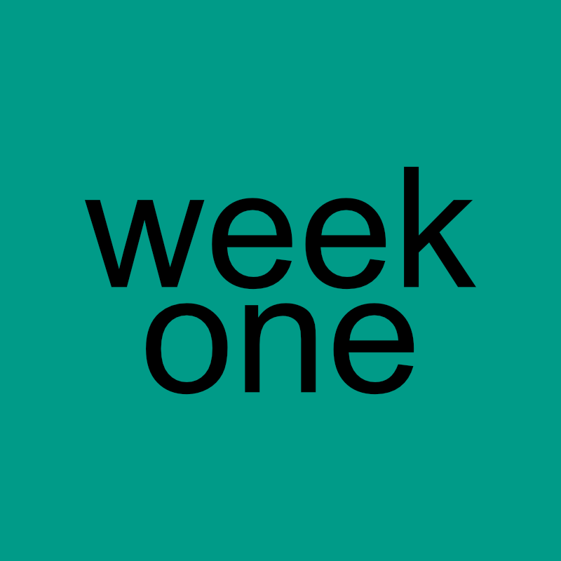 100 Mile Walking Challenge Week 1