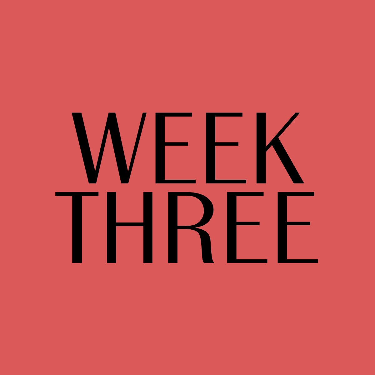 Special Update Week 3 / 100 Mile Step Challenge February 2026