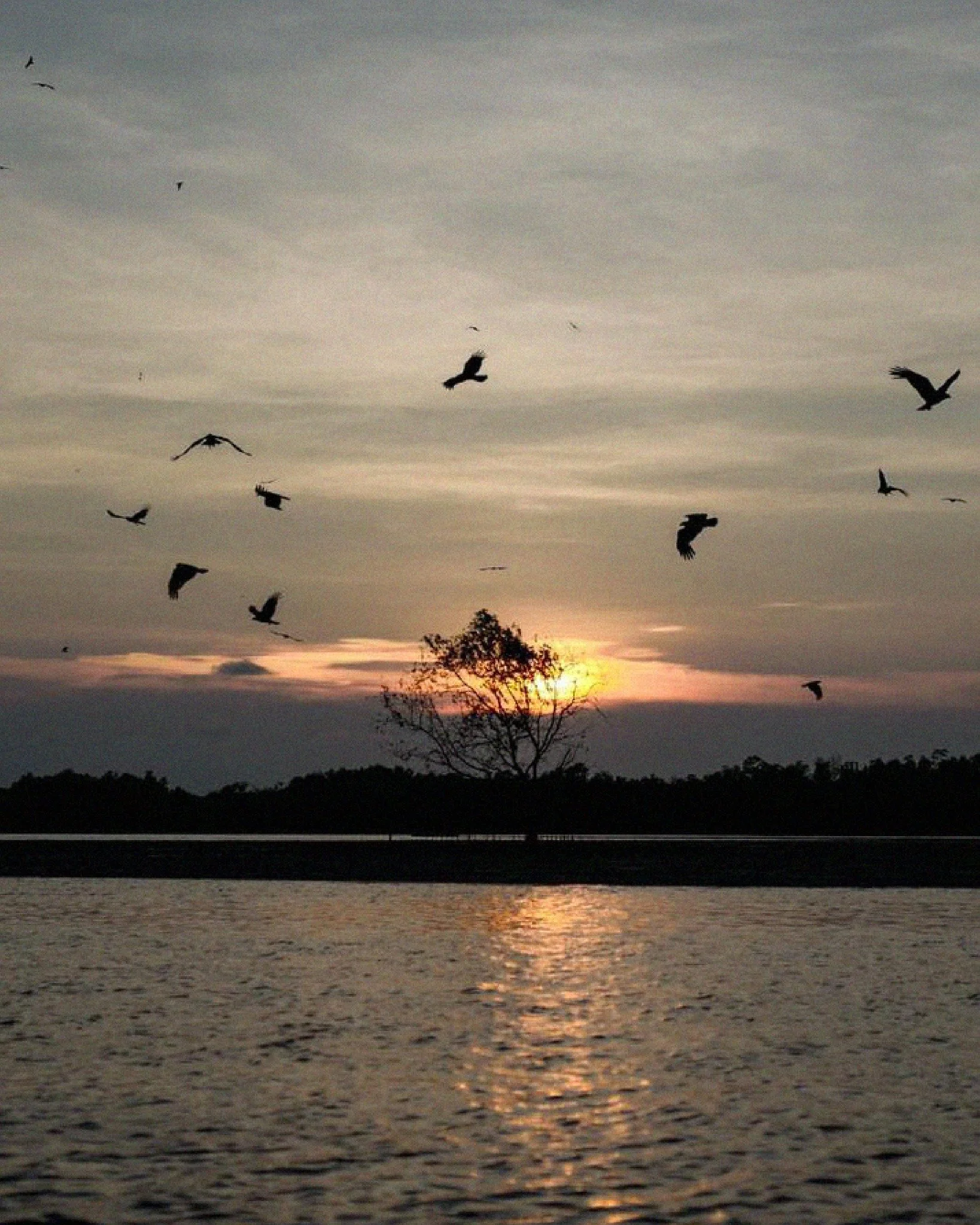 One of Chanthaburi's most spectacular year-round eco-tourism activities, 'Red Hawk Watching' is a 90-minute boat ride along the Welu River where flocks of red hawks soar and dive right overhead and before your very eyes. This exciting-meets-sustainab