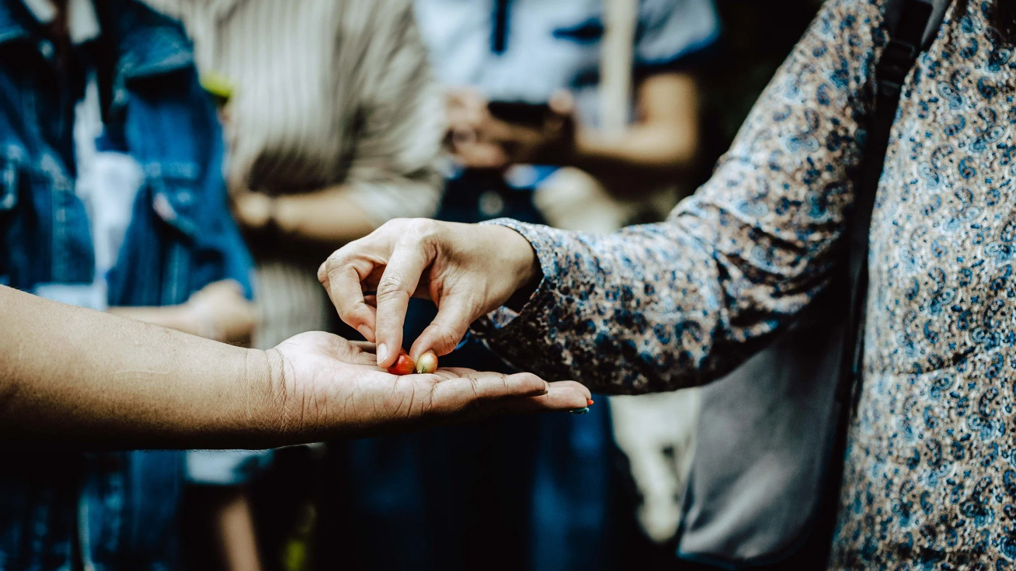 Close-up of a person holding a palm open, receiving a small red and green object from another person with a patterned long sleeve. Several people are blurred in the background.
