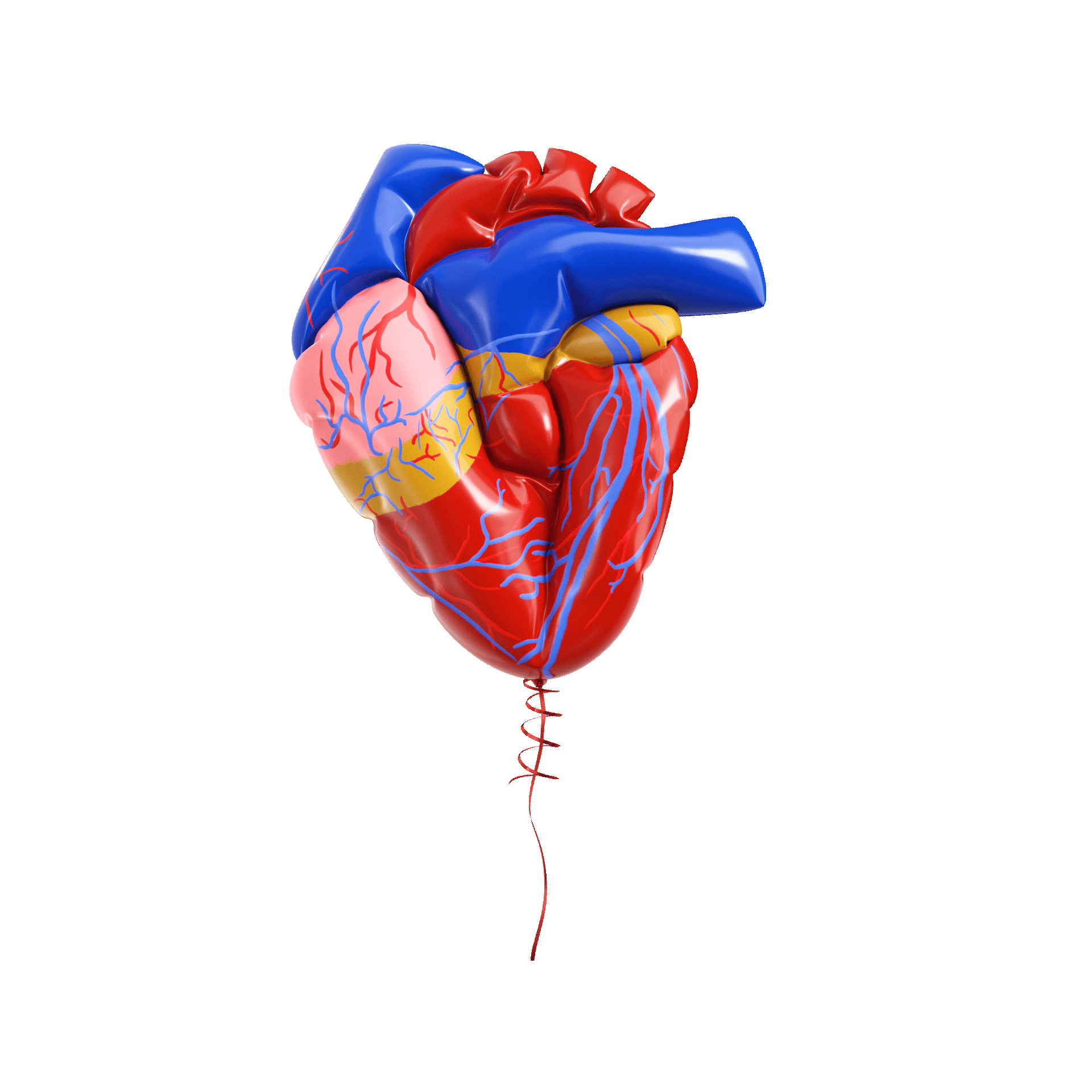A balloon shaped like a human heart with detailed arteries and veins, floating against a blue background.
