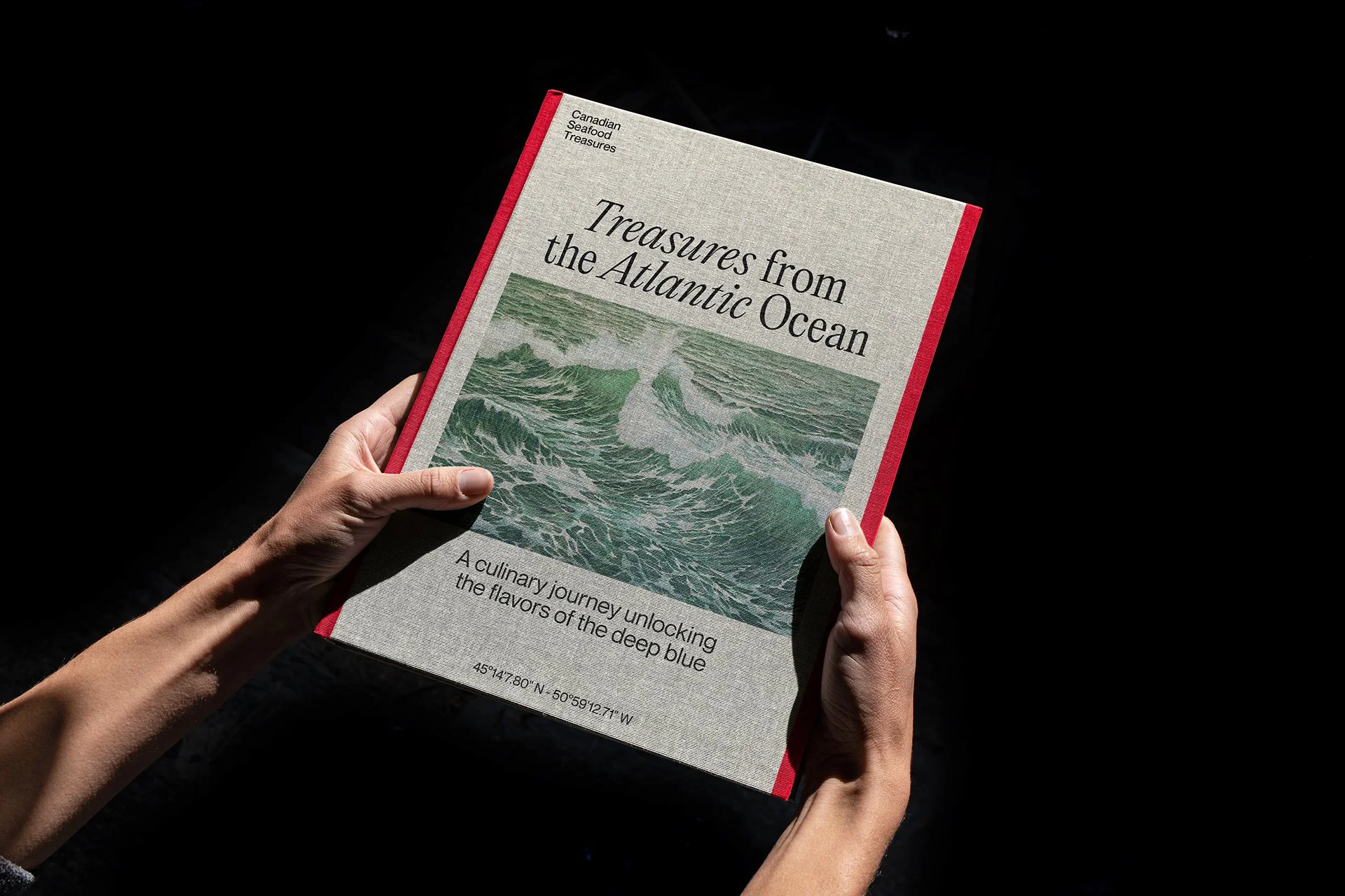 66e4390f9122e67cf23c9a78_sdg_tbwa_cst_bookcover_1920x1280.jpg