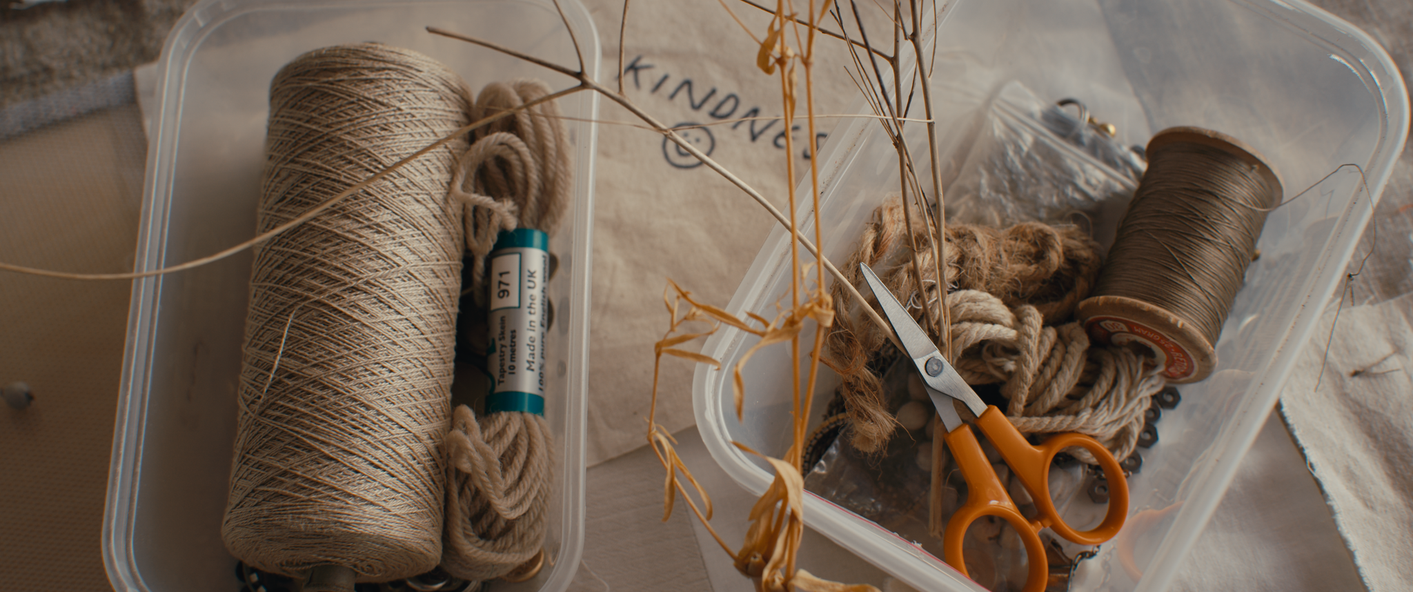 EDIFY stills_3.73.1.png