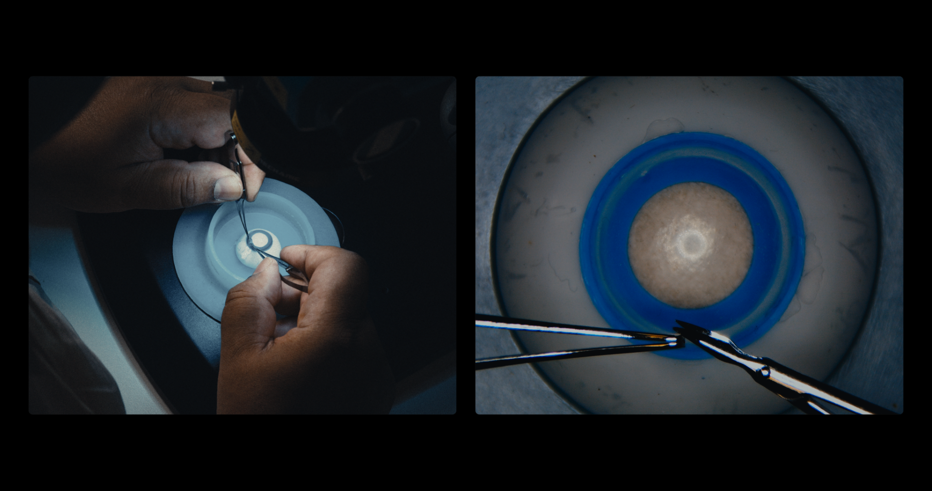 New stills_4.8.1.png