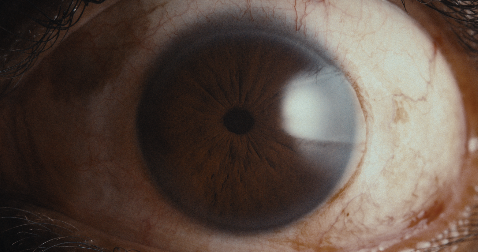 New stills_1.6.1.png