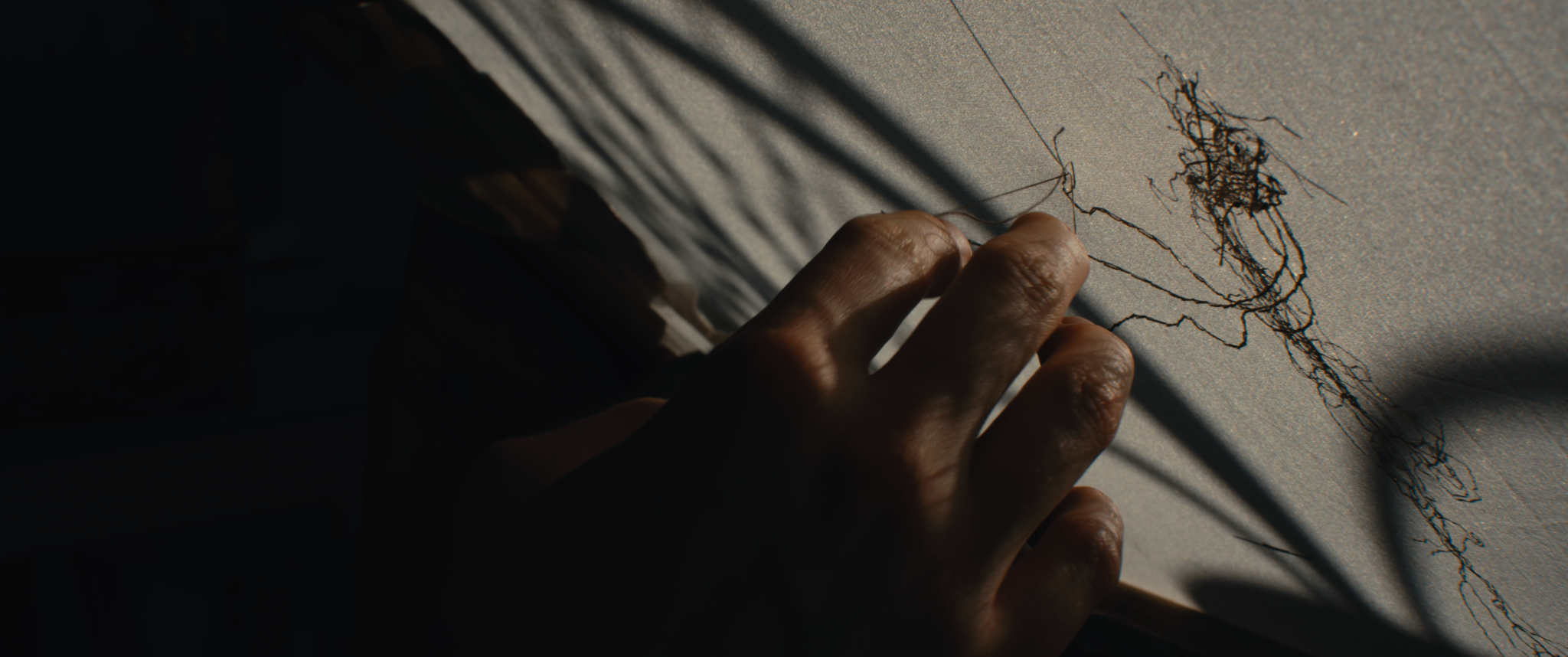 EDIFY stills_3.65.1.png