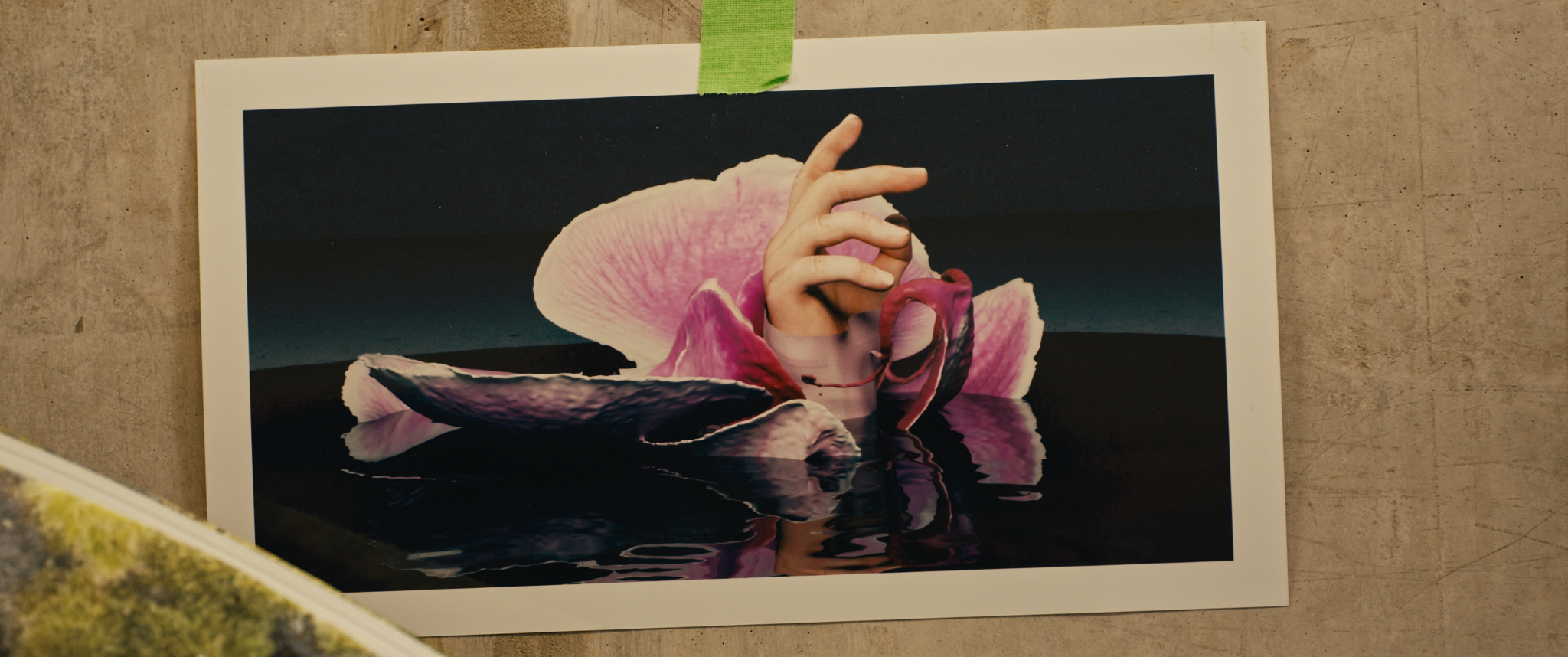 EDIFY stills_3.196.1.png