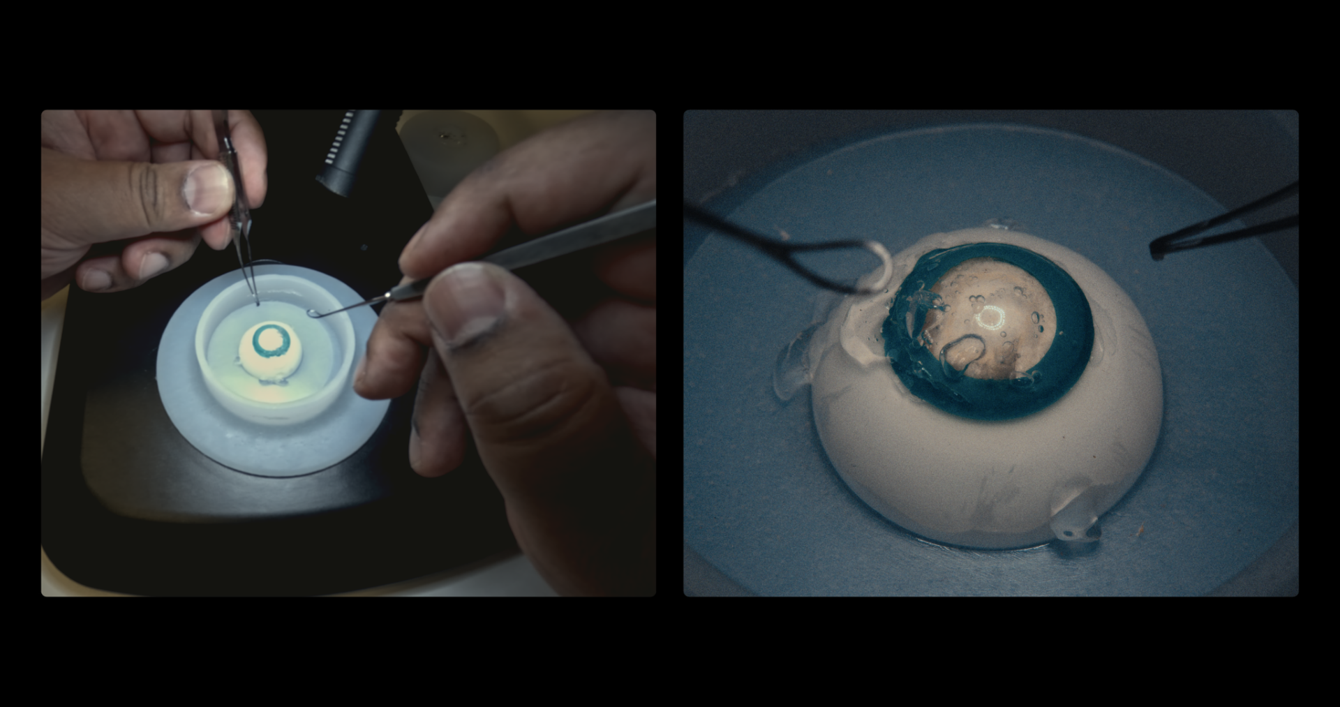 New stills_4.17.1.png