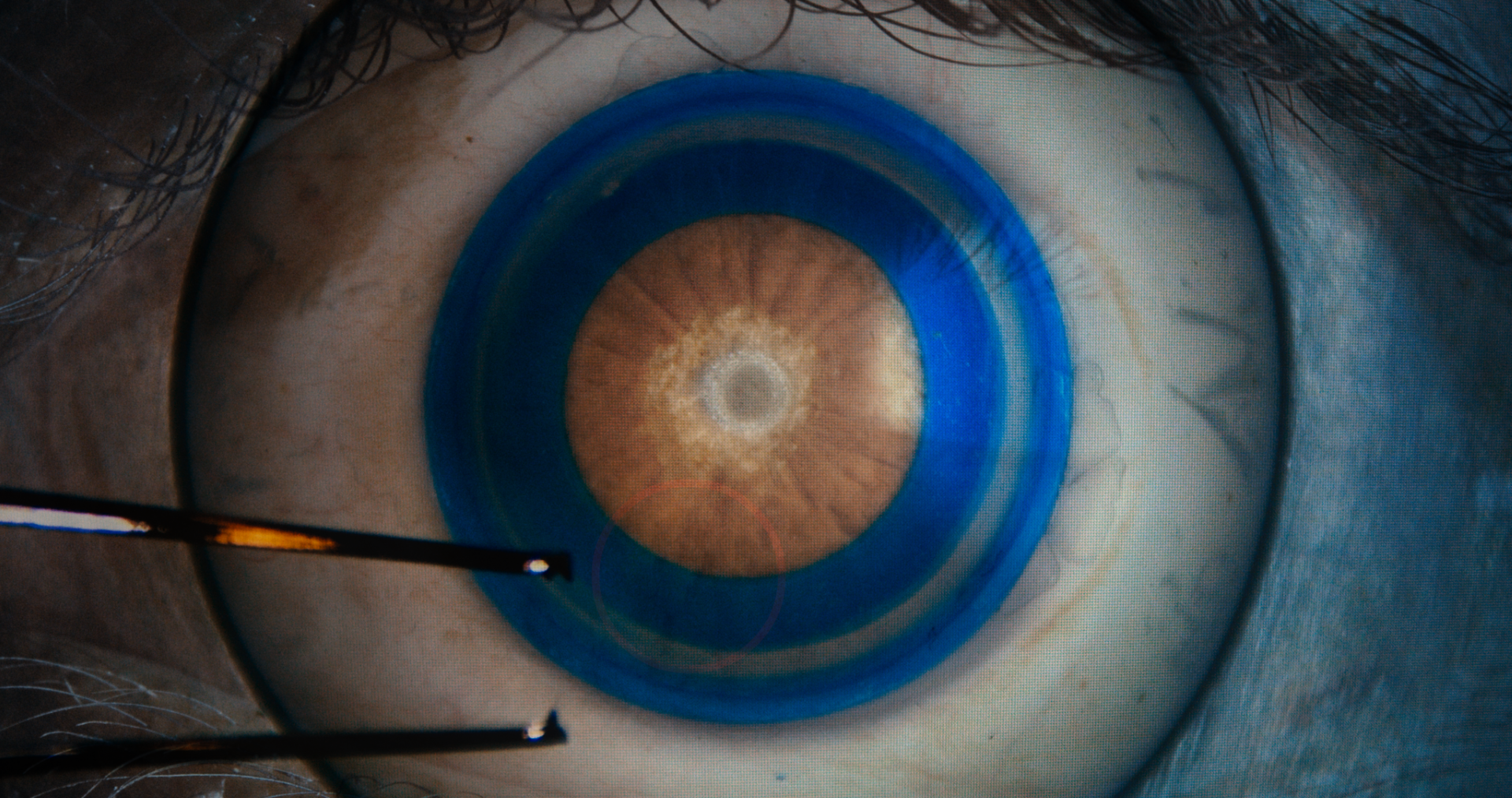 New stills_1.16.1.png