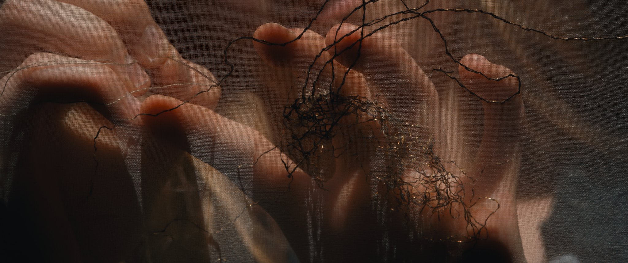 EDIFY stills_3.92.1.png