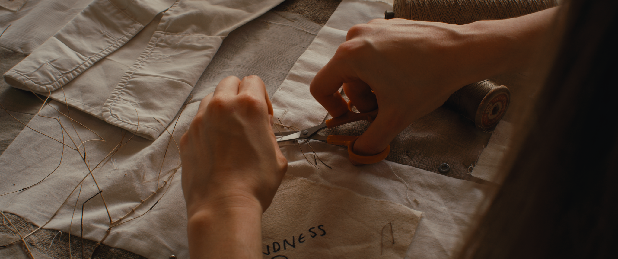 EDIFY stills_3.75.1.png