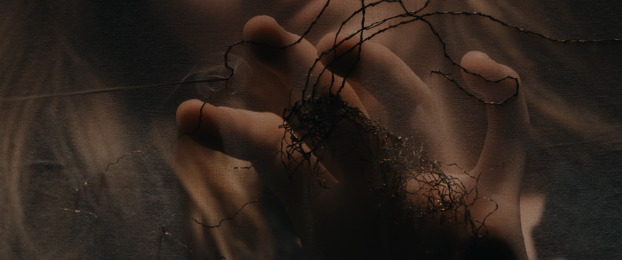 EDIFY stills_3.91.1.png