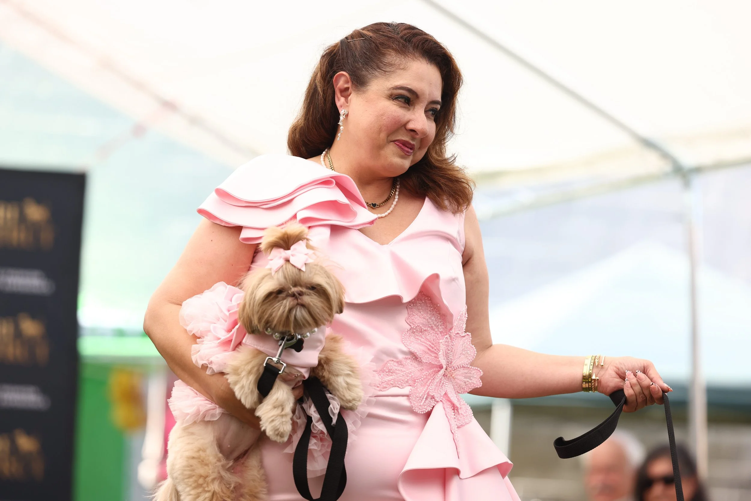 dog-fashion-runway-experience-pawradise-131788039.jpg