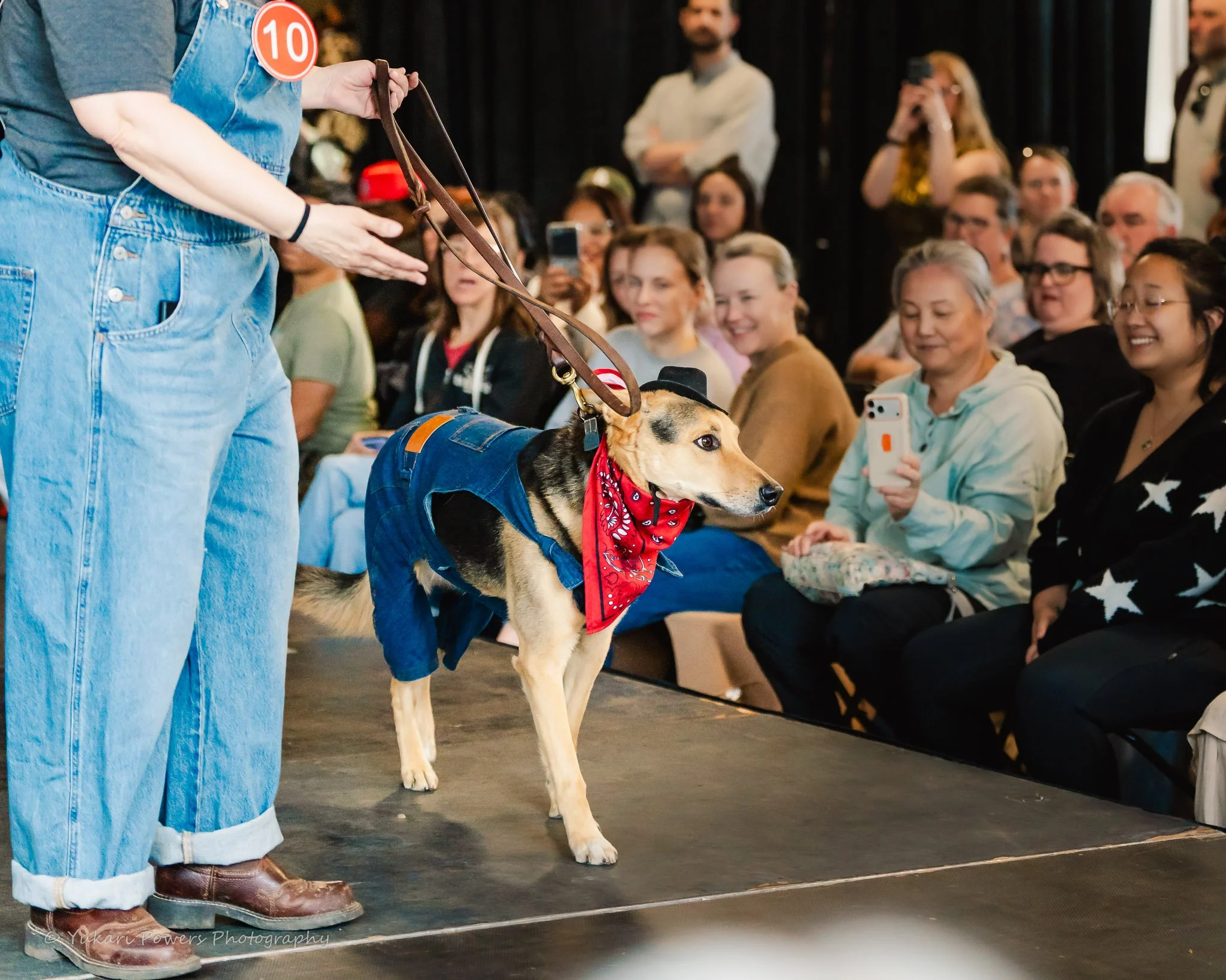2026 Dog Fashion Show SSM-51.jpg