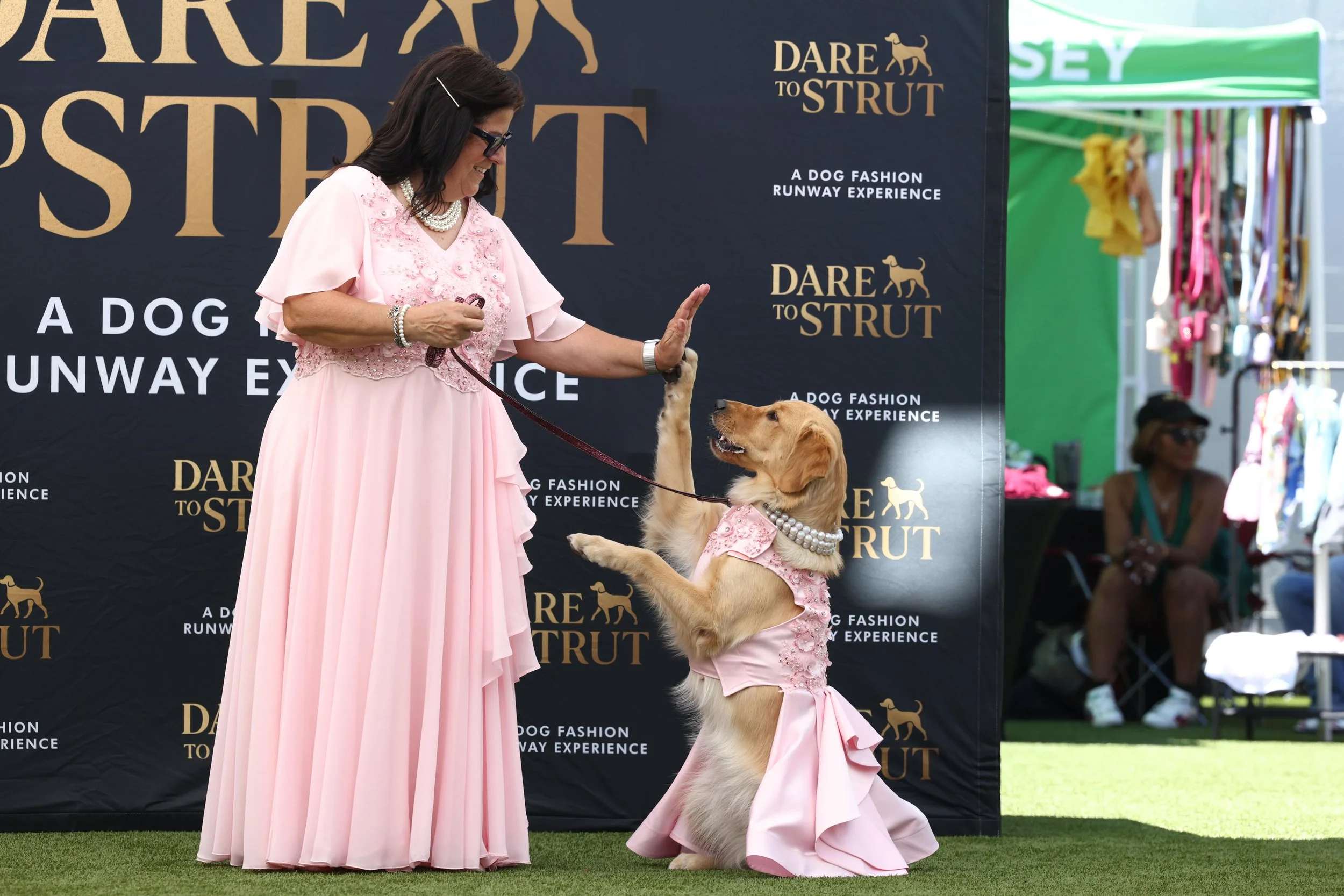 dog-fashion-runway-experience-pawradise-131788078.jpg