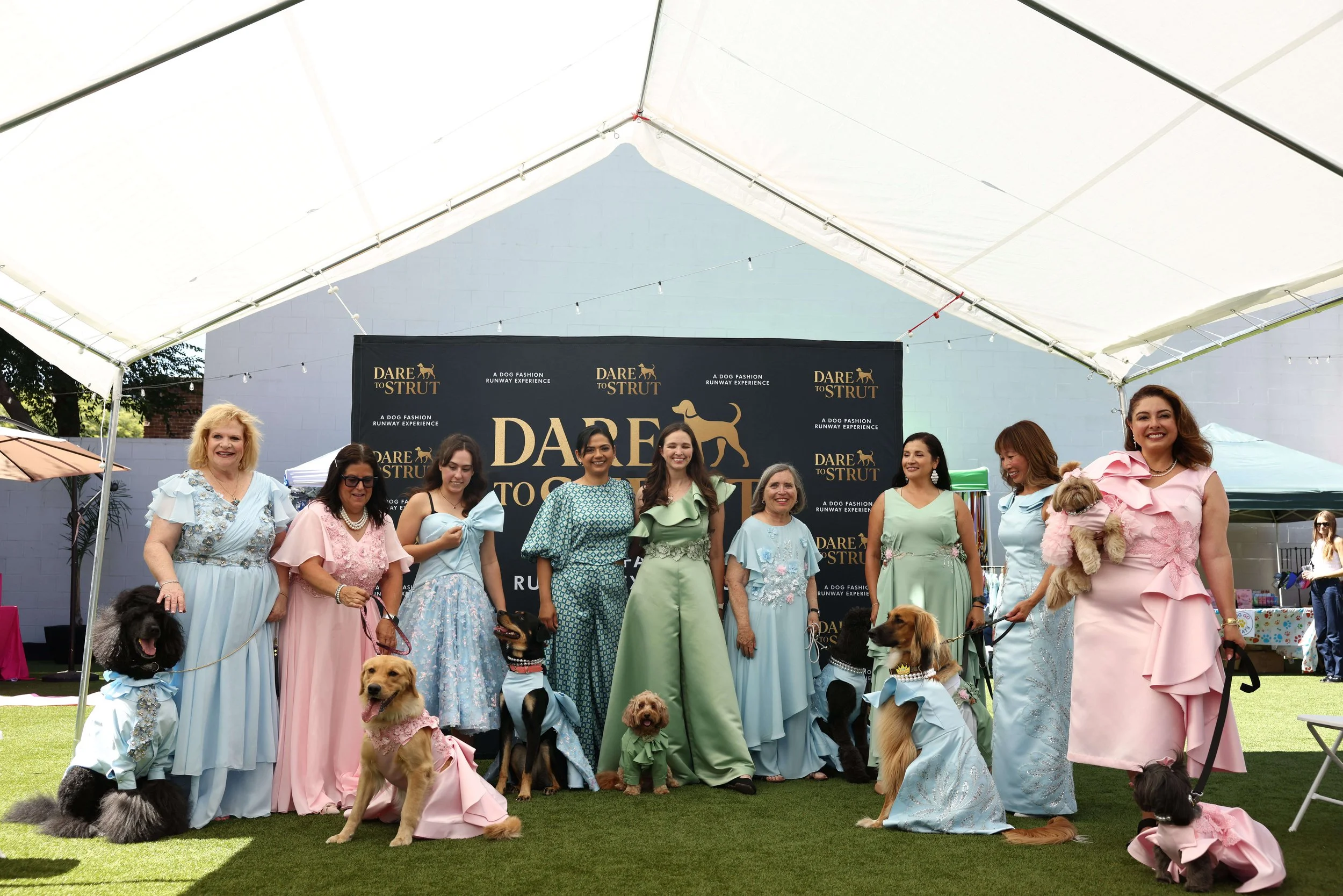dog-fashion-runway-experience-pawradise-131788190.jpg