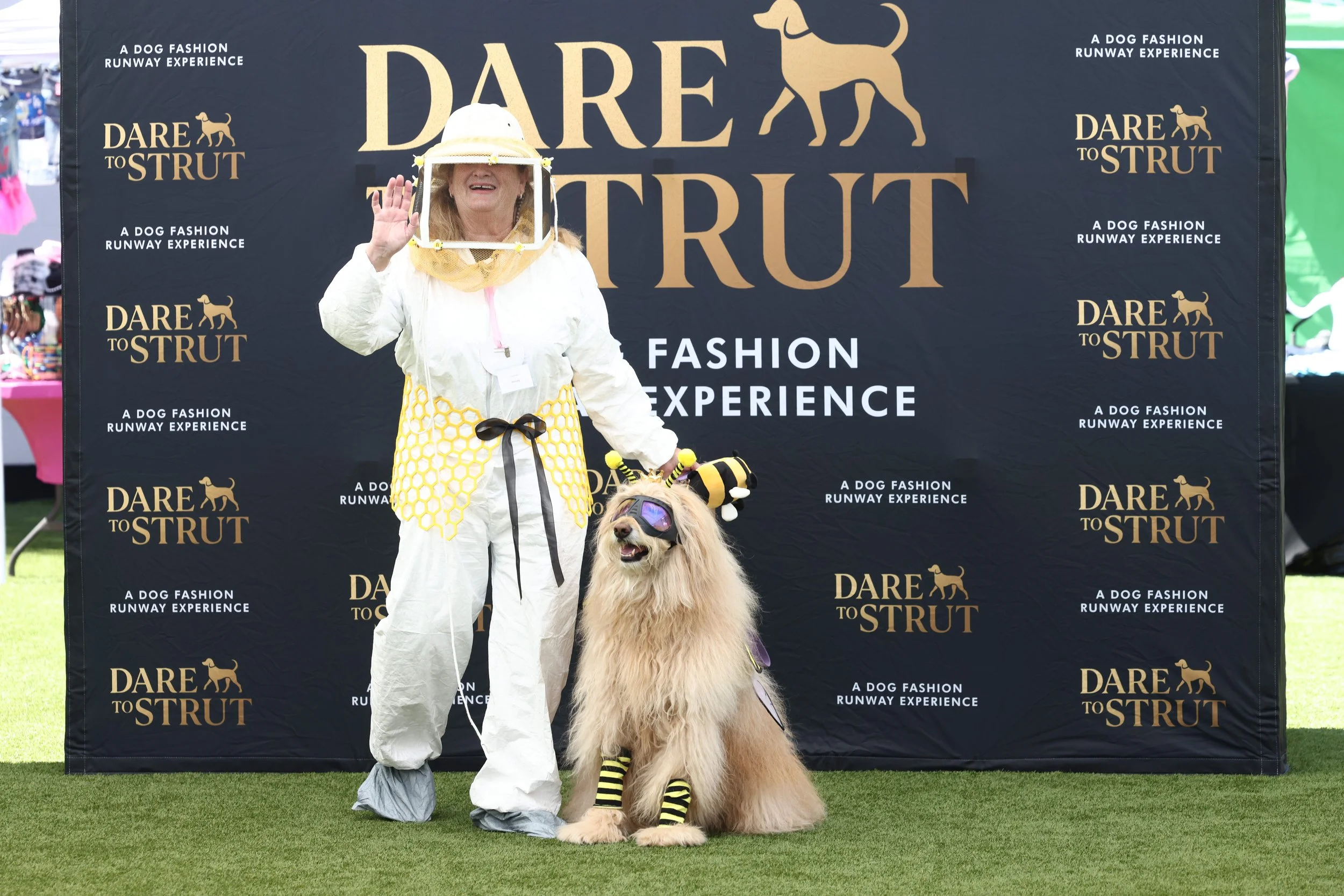 dog-fashion-runway-experience-pawradise-131788002.jpg