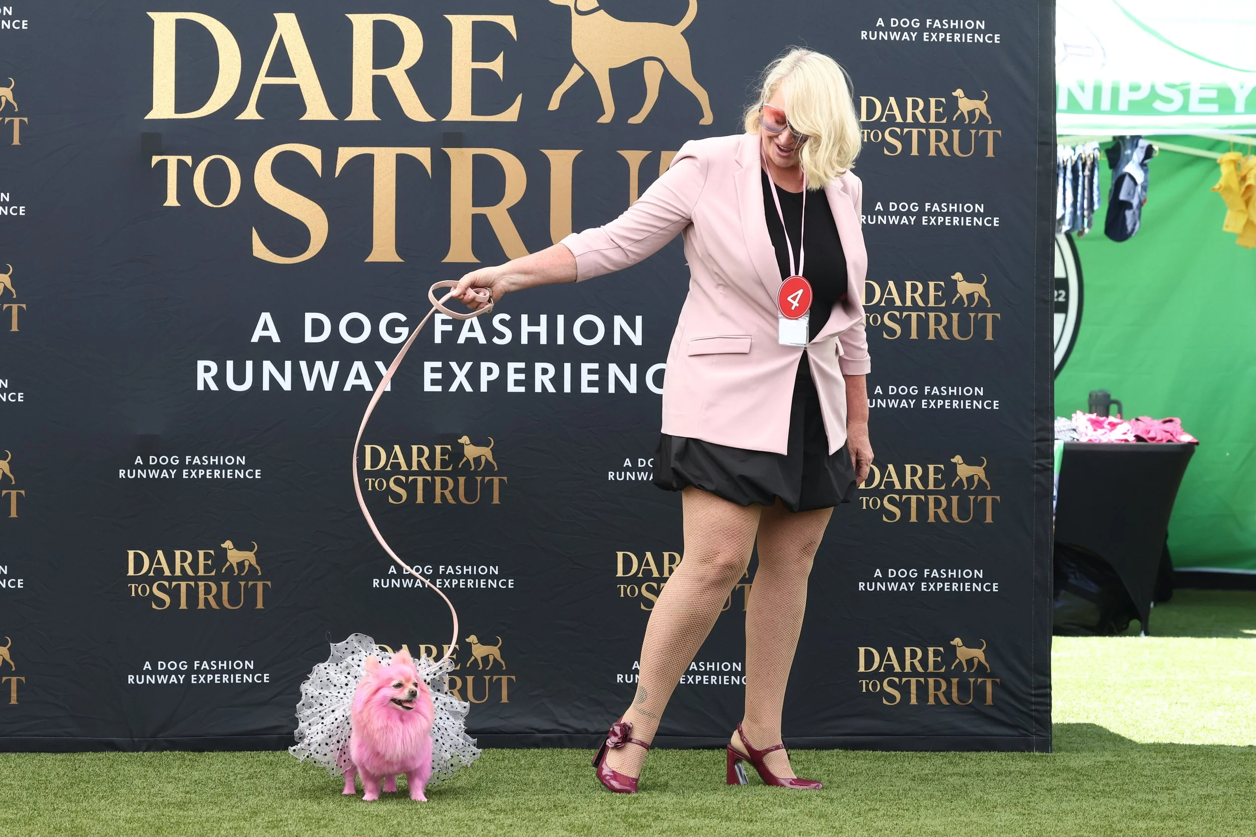 dog-fashion-runway-experience-pawradise-131791213.jpg