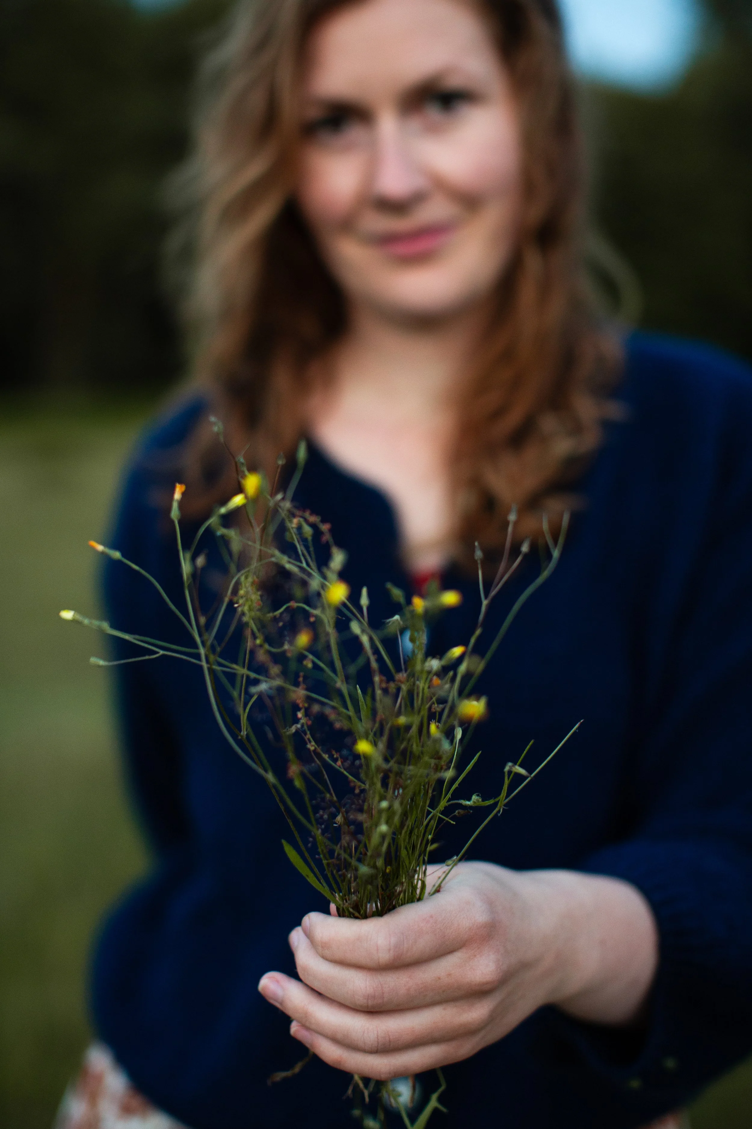 Abbildung Moosfläche im Wald