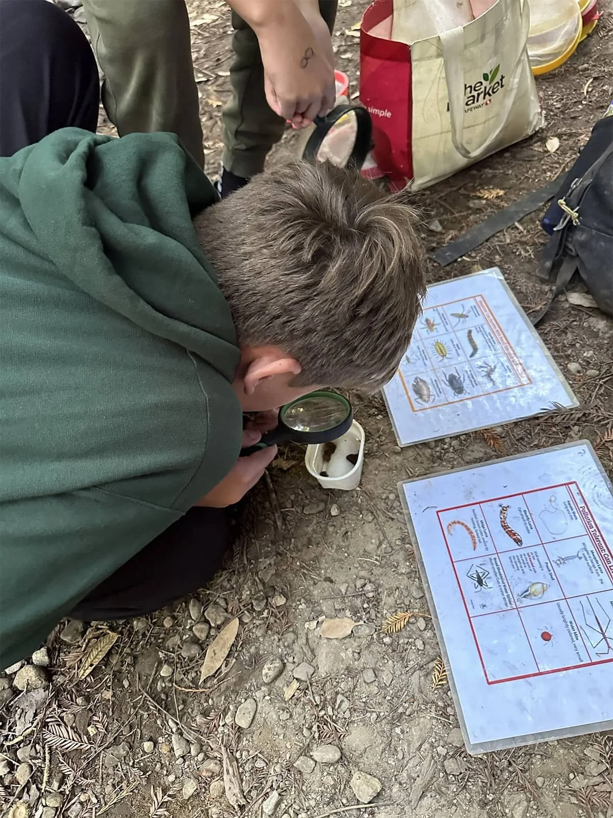 Student examining insects and soil samples outdoors with a magnifying glass.