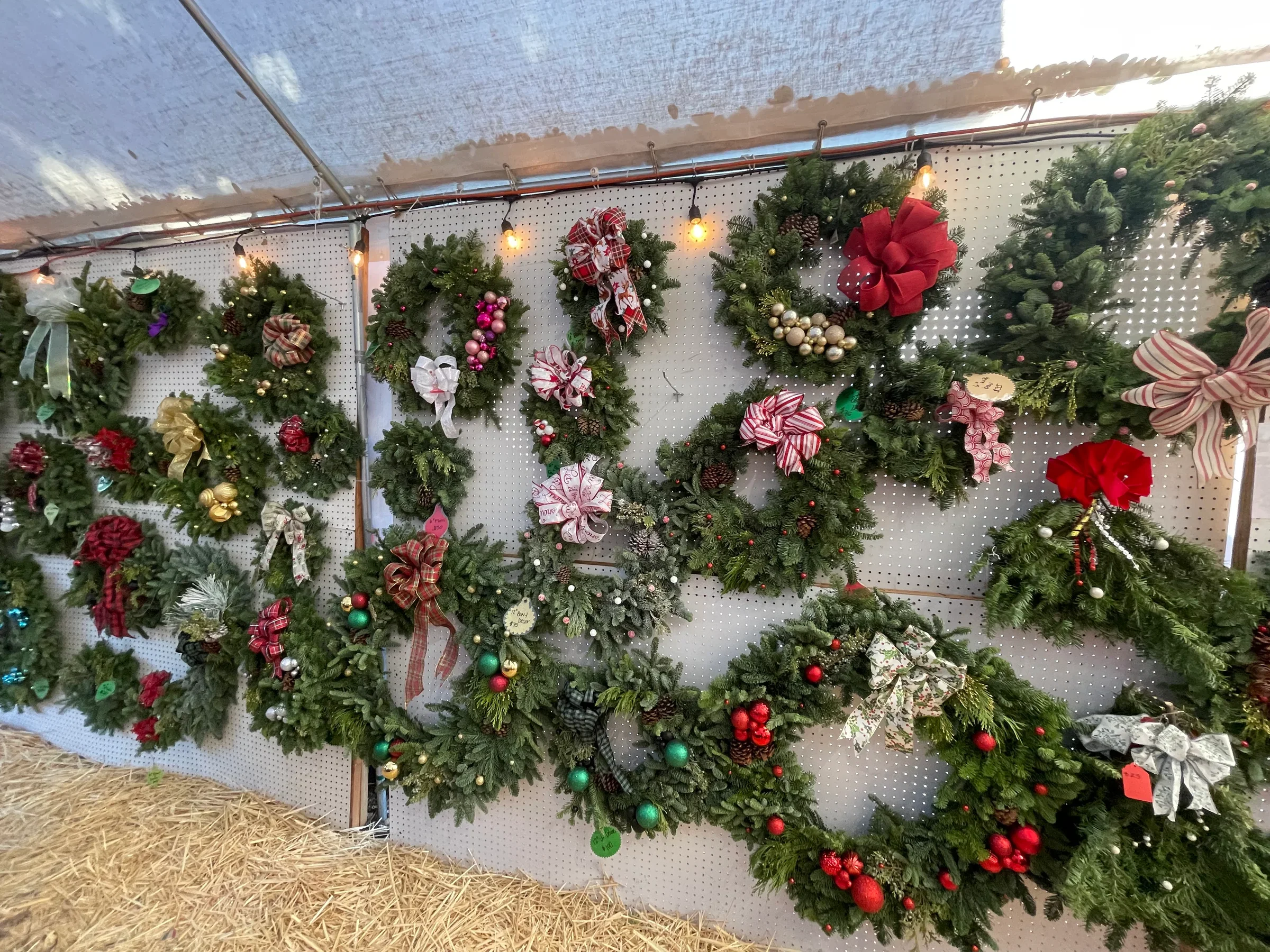 IMG_5250 4_1729118426.webp