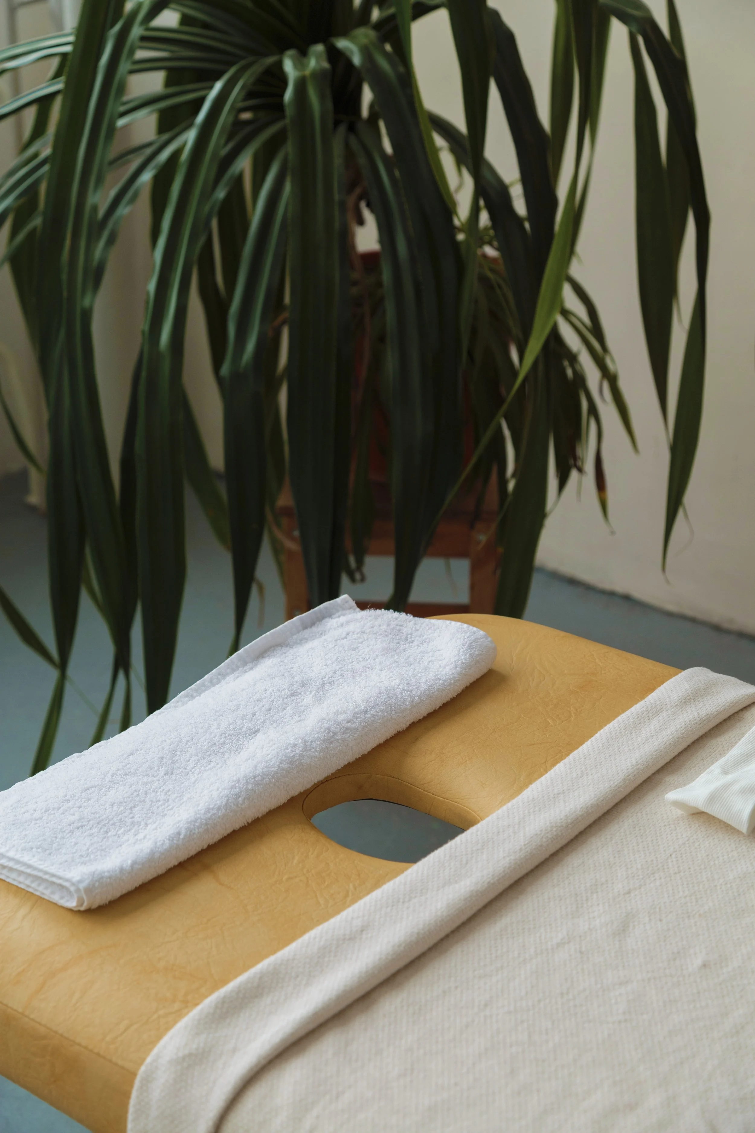 Un studio de massage avec une table jaune sur laquelle sont posés des draps blancs et crème. La pièce est de couleur bleu sarcelle et des plantes sont placées en arrière-plan.