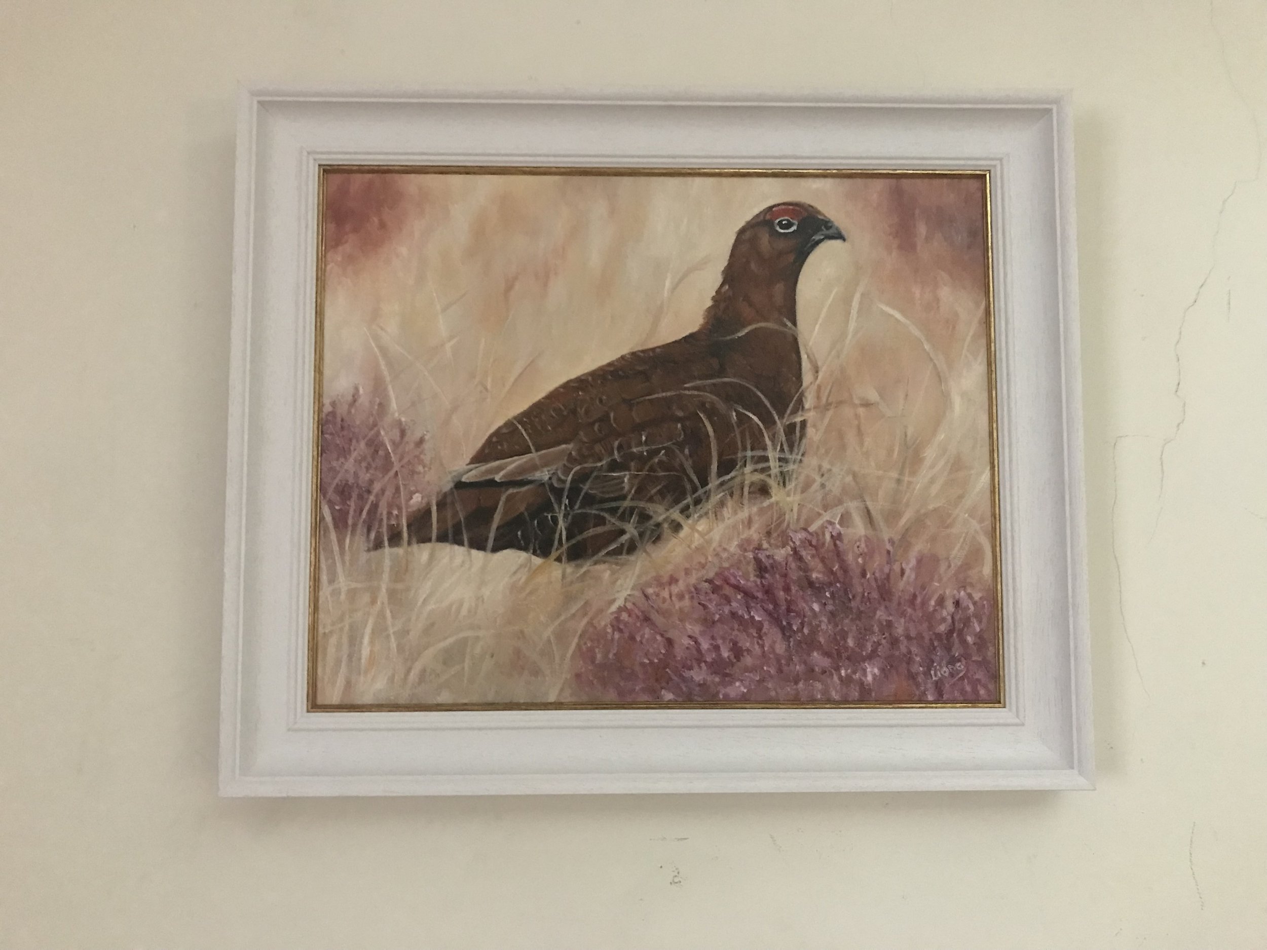 Grouse in Heather oil on canvas euro 550