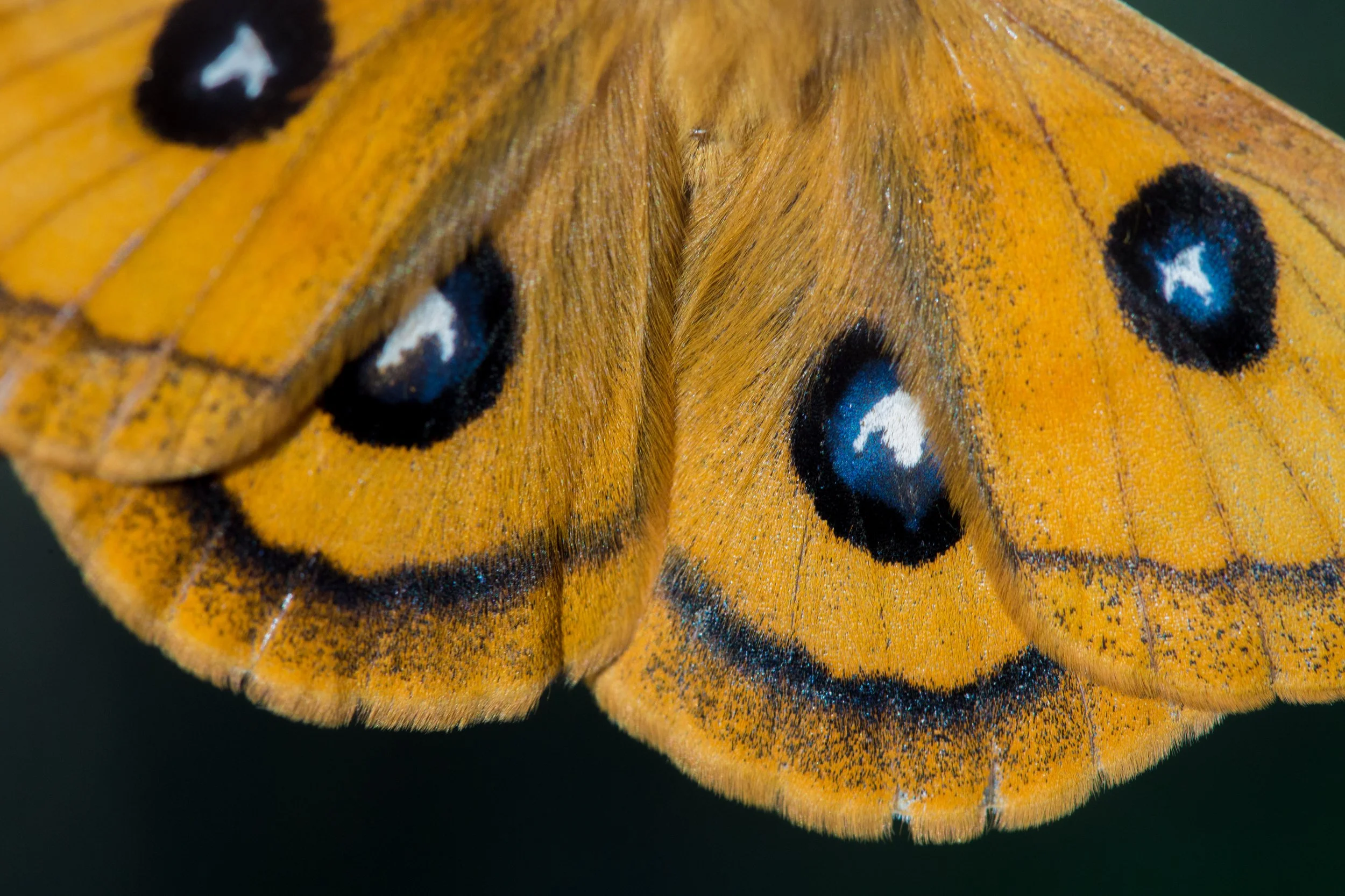 Kunstutstilling - IMAGO