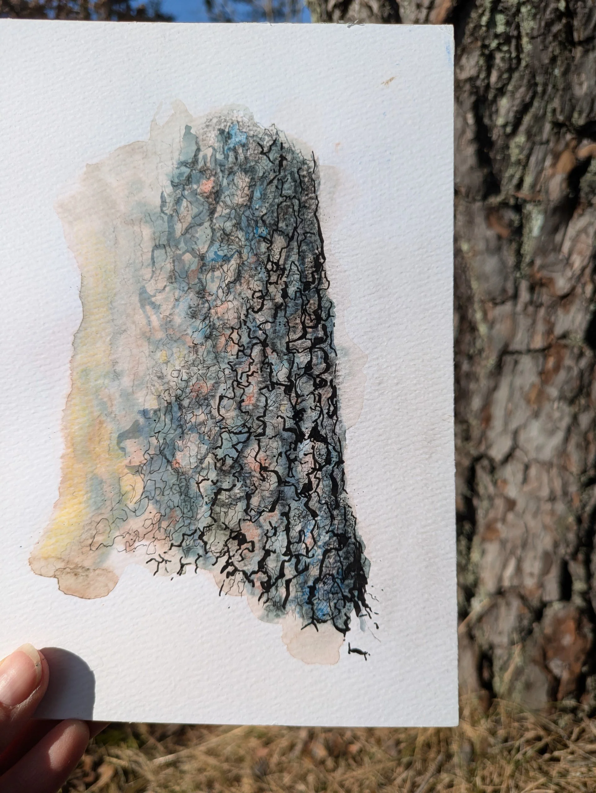 Berøring - pinus.jfif