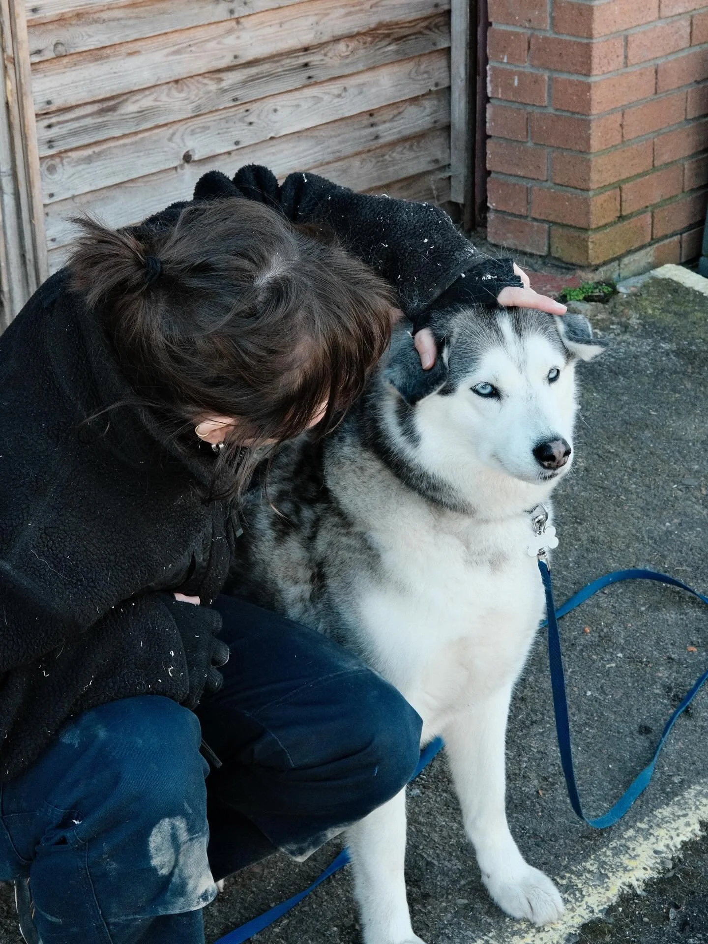 WHAT WE&rsquo;VE BEEN UP TO 🔨

It&rsquo;s been a busy few weeks at the workshop! We&rsquo;ve been building gates for Coach House Trust, creating a solar panel demo rig for Solar Careers Uk, and Anna&rsquo;s been hard at work photographing products f