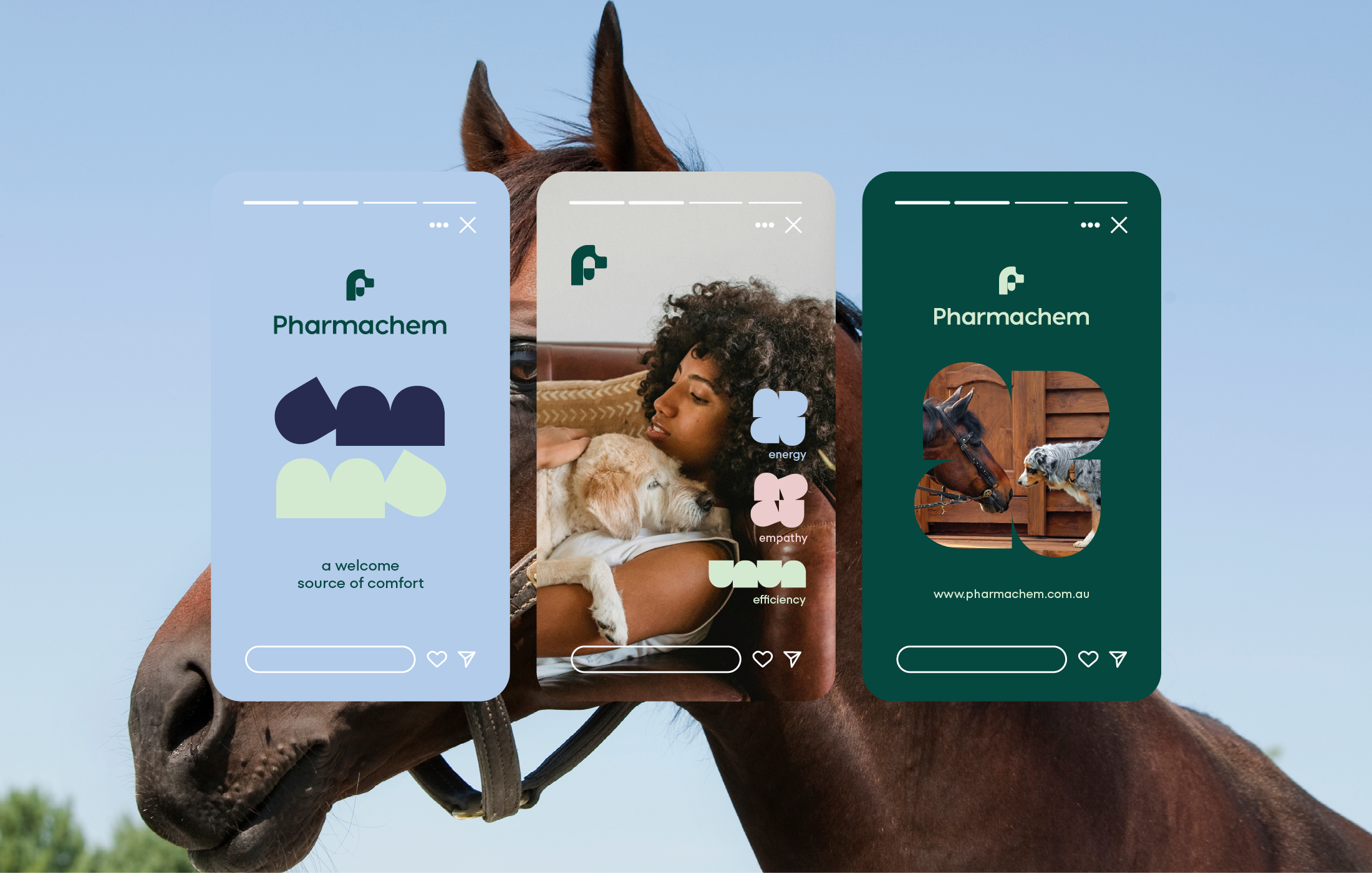 Website Portfolio_Pharmachem3.png