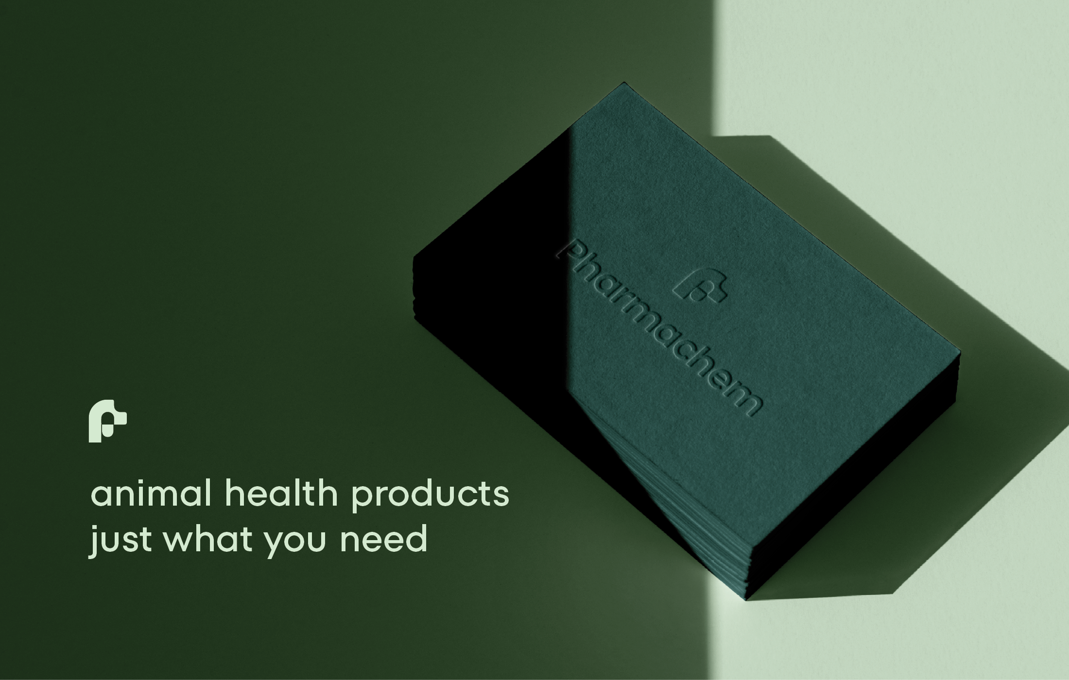 Website Portfolio_Pharmachem4.png