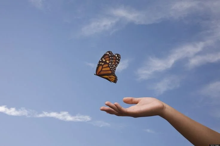 Life Feels Lighter When You Stop Trying to Control Everything