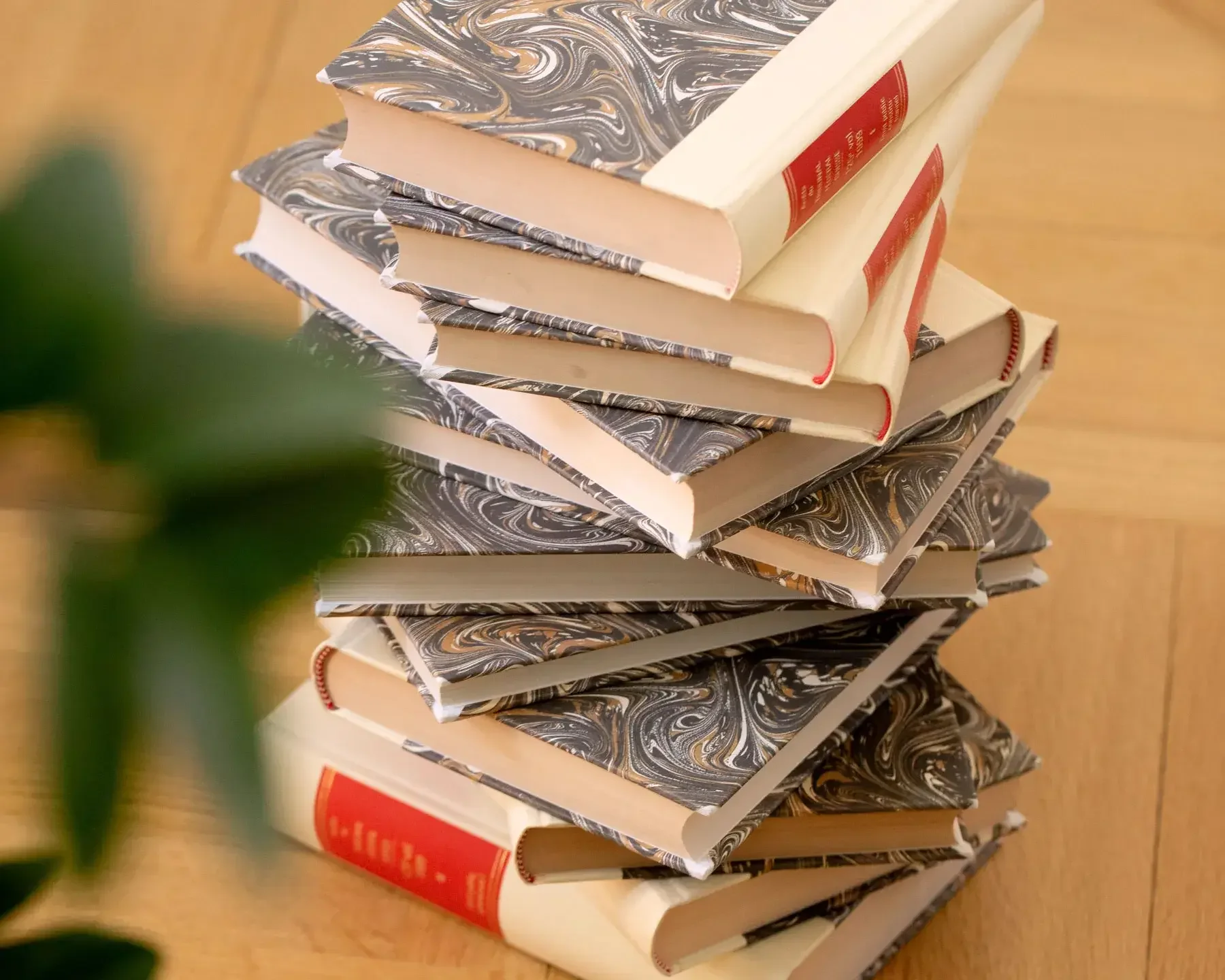 Domaines d’activité