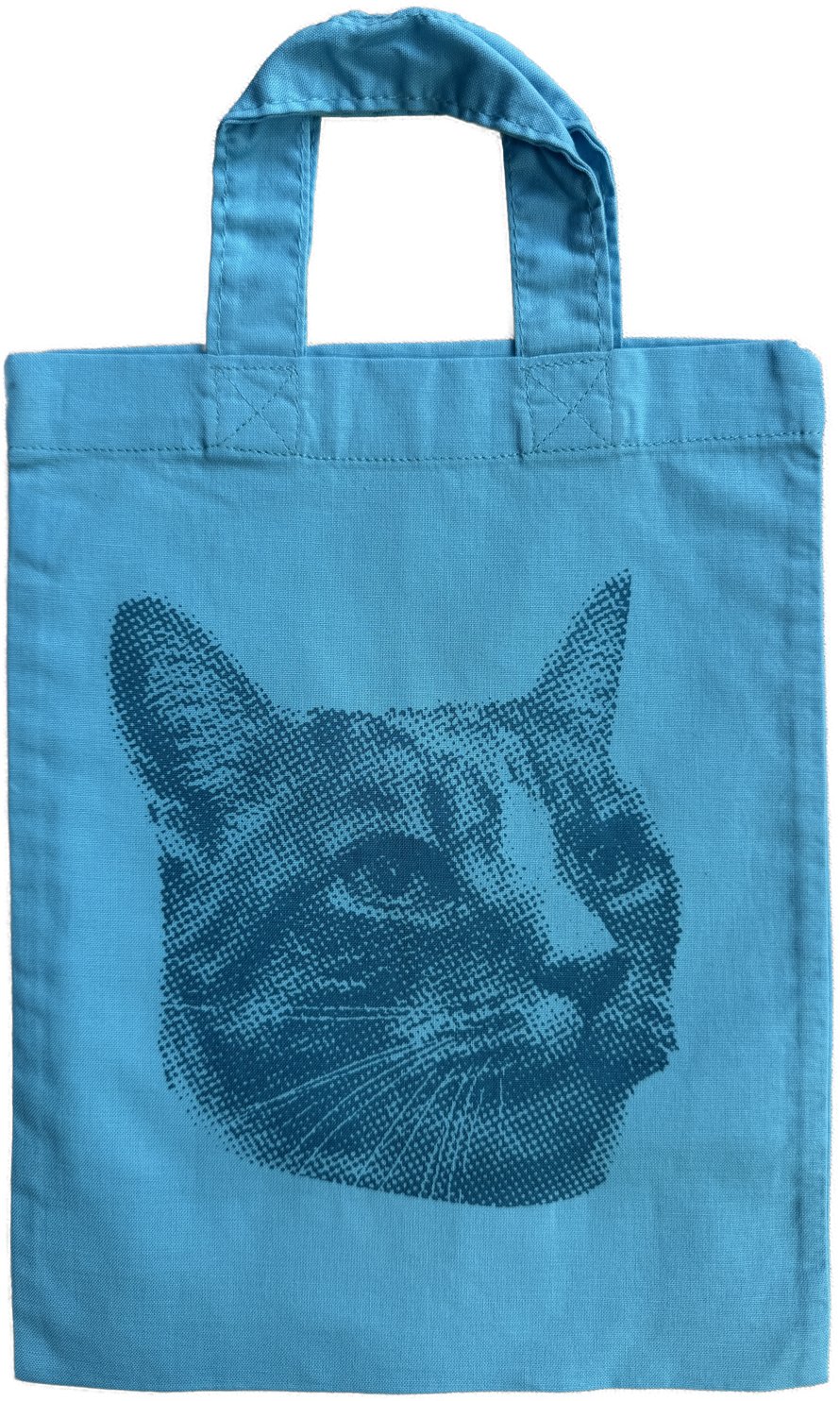 jazzy blue gift bag.jpg
