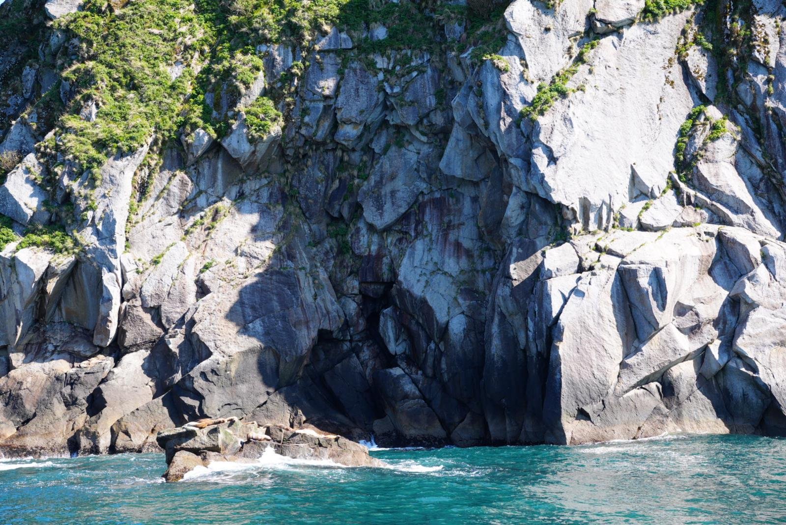 WhatsApp Image 2026-01-05 at 13.13.11 (5).jpeg