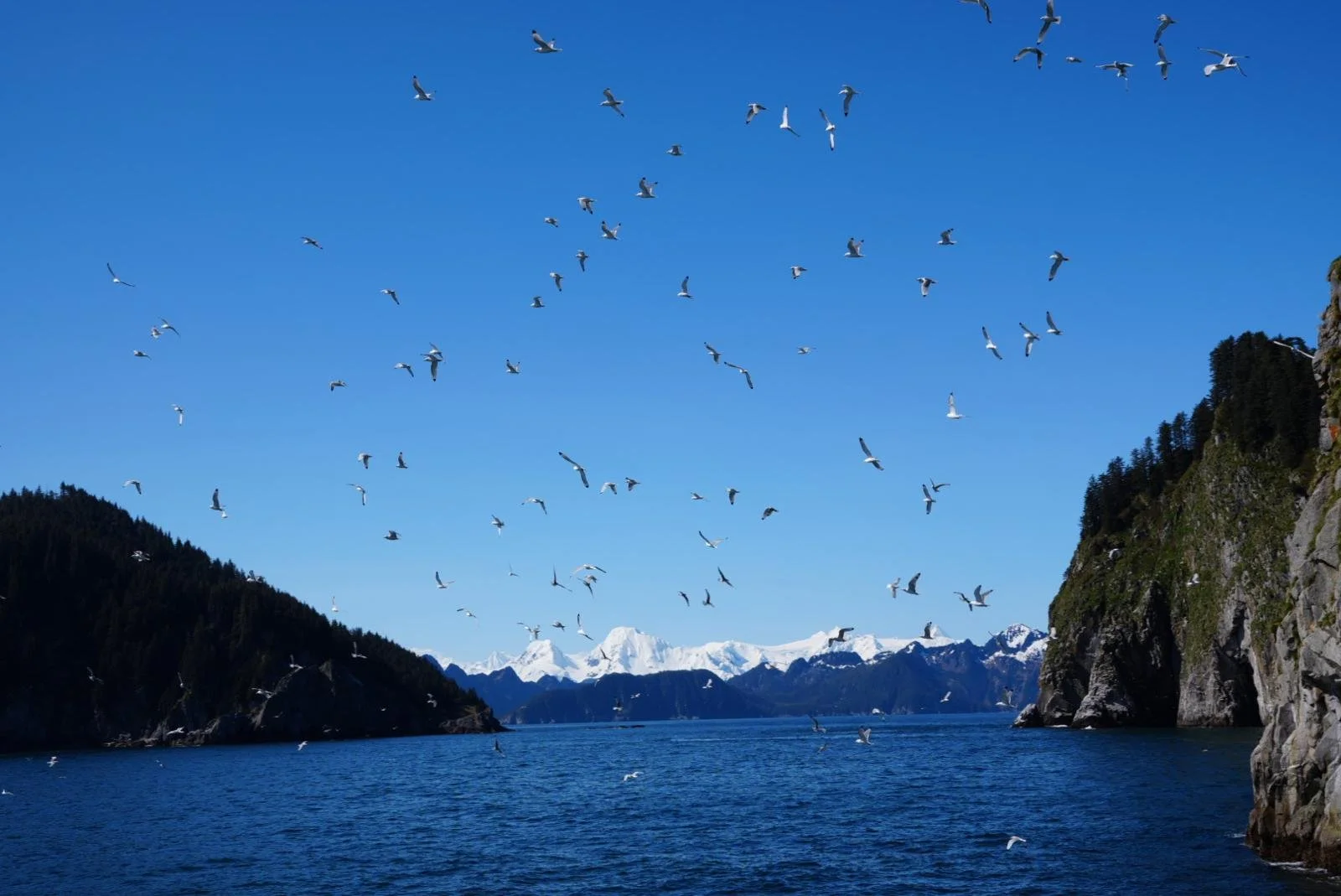 WhatsApp Image 2026-01-05 at 13.13.11 (9).jpeg