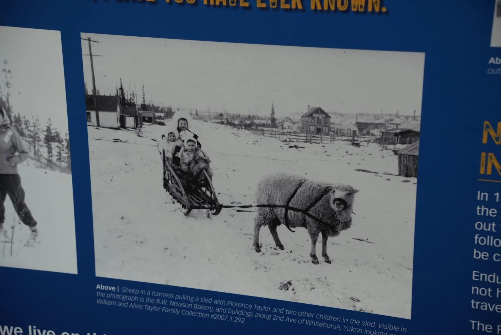 WhatsApp Image 2026-01-05 at 13.13.11 (40).jpeg