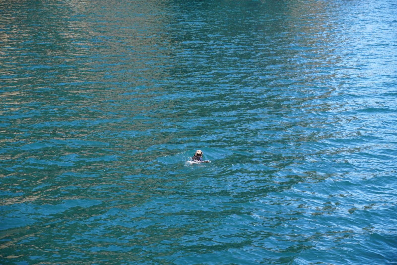 WhatsApp Image 2026-01-05 at 13.13.11 (7).jpeg