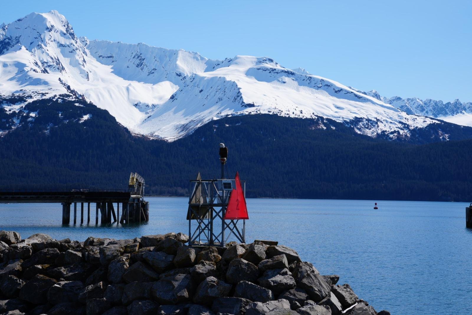 WhatsApp Image 2026-01-05 at 13.13.11 (4).jpeg