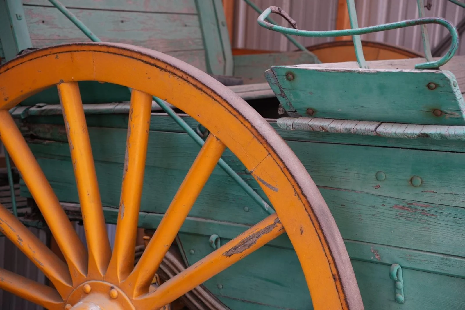 WhatsApp Image 2026-01-05 at 13.13.11 (39).jpeg