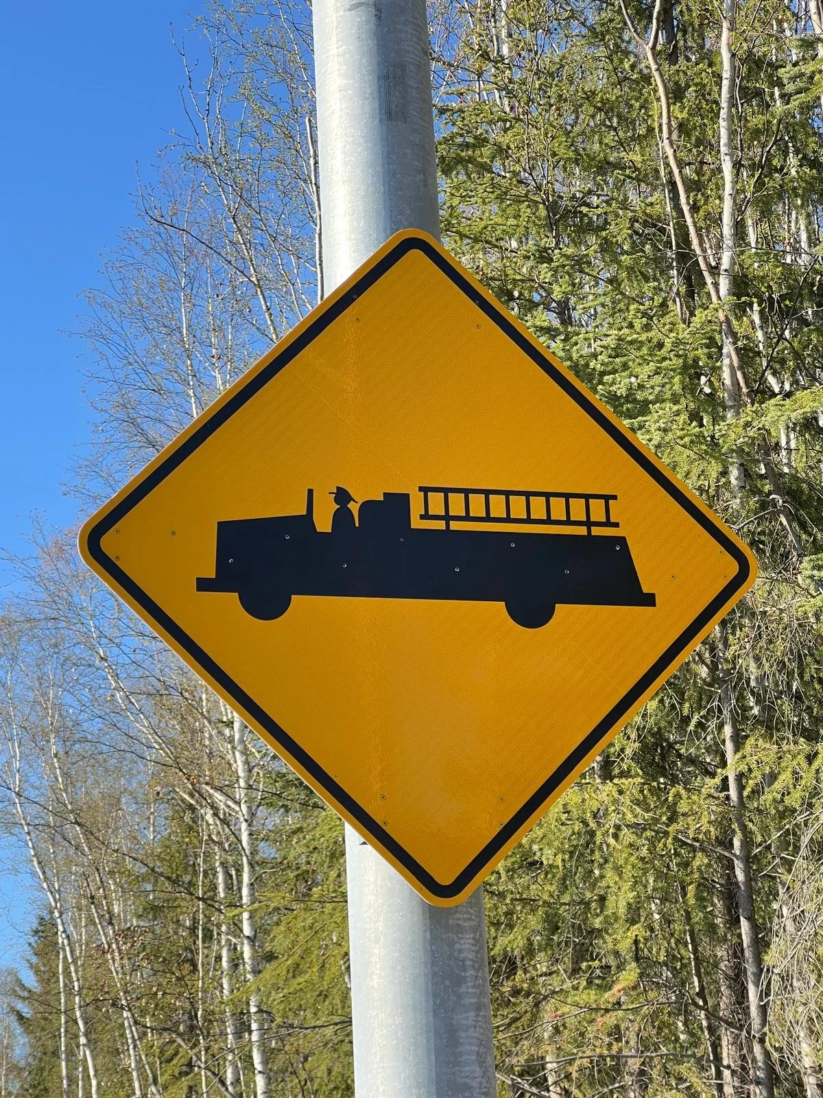 WhatsApp Image 2026-01-05 at 13.13.11 (14).jpeg