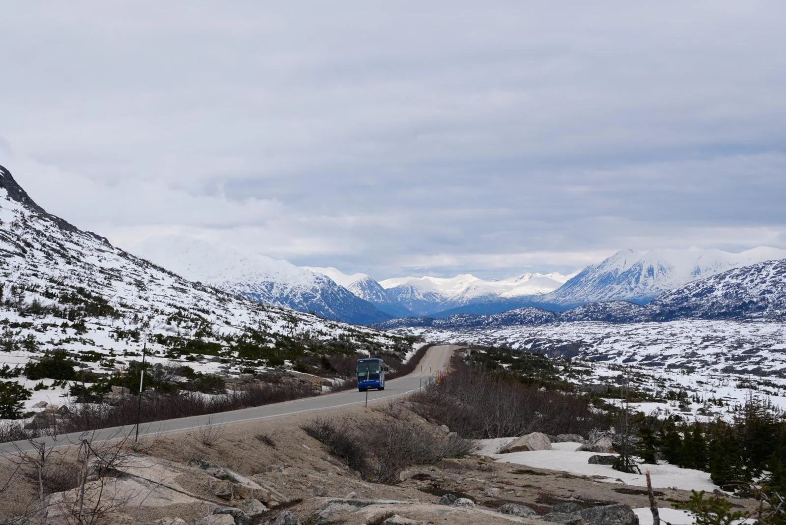 WhatsApp Image 2026-01-05 at 13.13.11 (41).jpeg