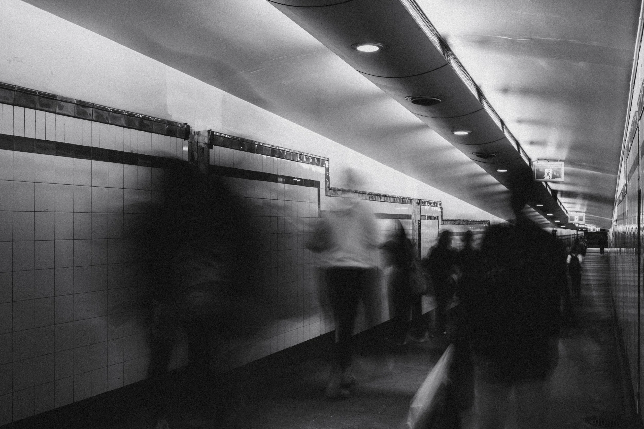 Body of Work - HSC 2025