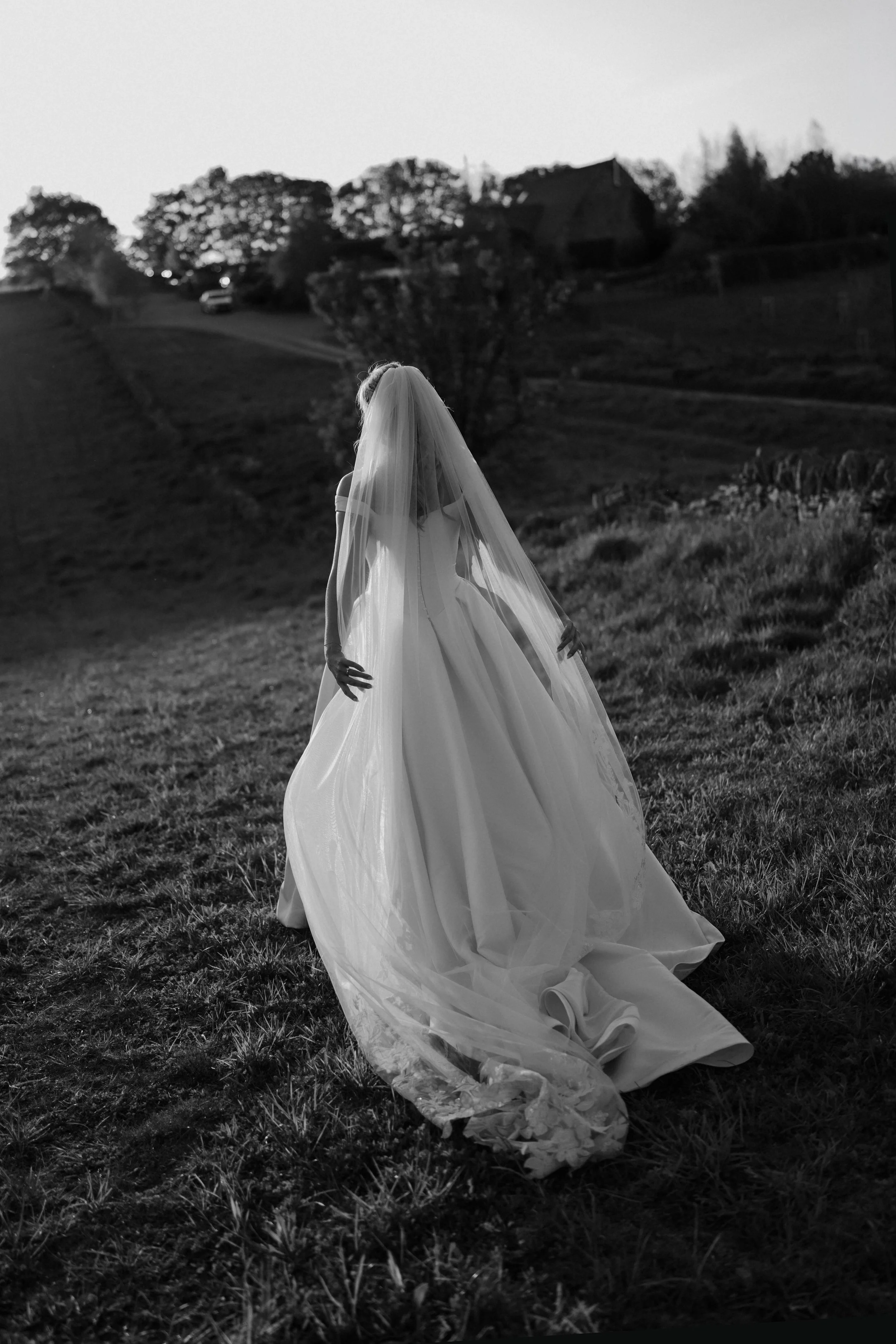 A bride wearing a wedding gown and veil walking outdoors on a grassy field during sunset, with trees and houses in the background, in black and white.