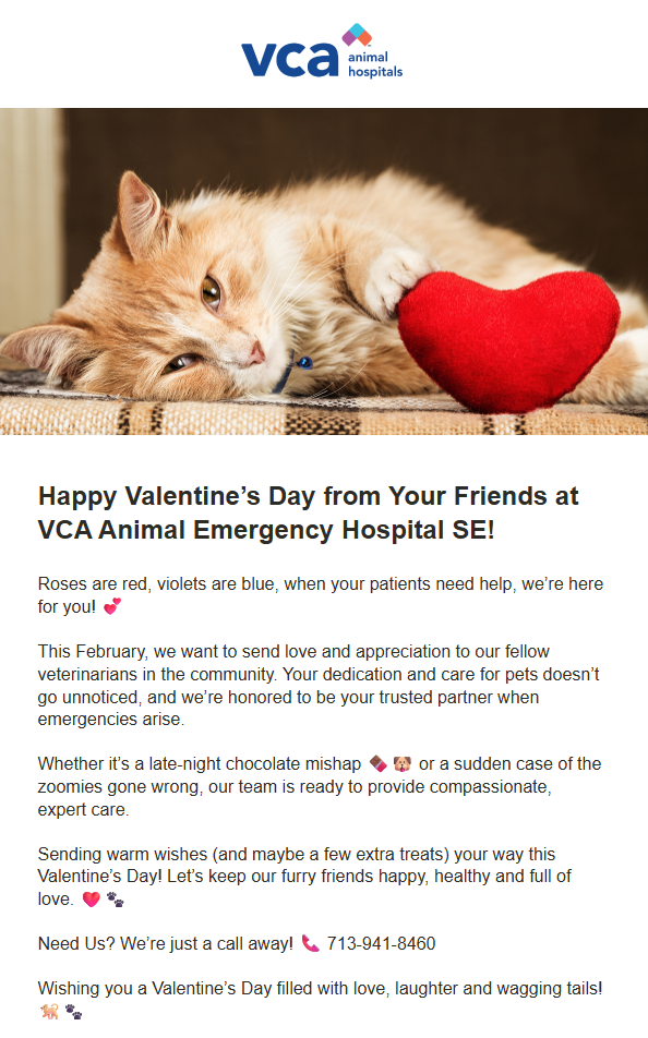 A ginger cat lying on a surface holding a red heart-shaped plush toy, with the VCA Animal Hospitals logo at the top.