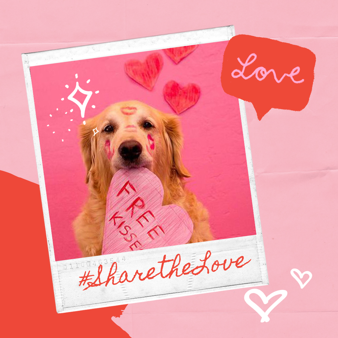 A golden retriever dog holding a pink heart with the word FREAKS written on it, against a pink background with red paper hearts. The dog has pink lipstick marks on its face and cheeks and a kiss mark on its forehead. There are decorations around the