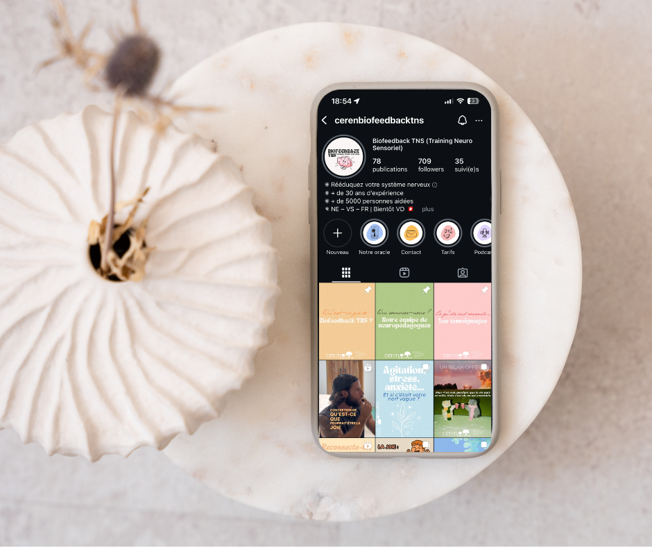 Un smartphone affichant un profil Instagram avec du contenu lié au biofeedback et à la rééducation du système nerveux. L'appareil est posé sur une surface en marbre à côté d'une citrouille décorative blanche.