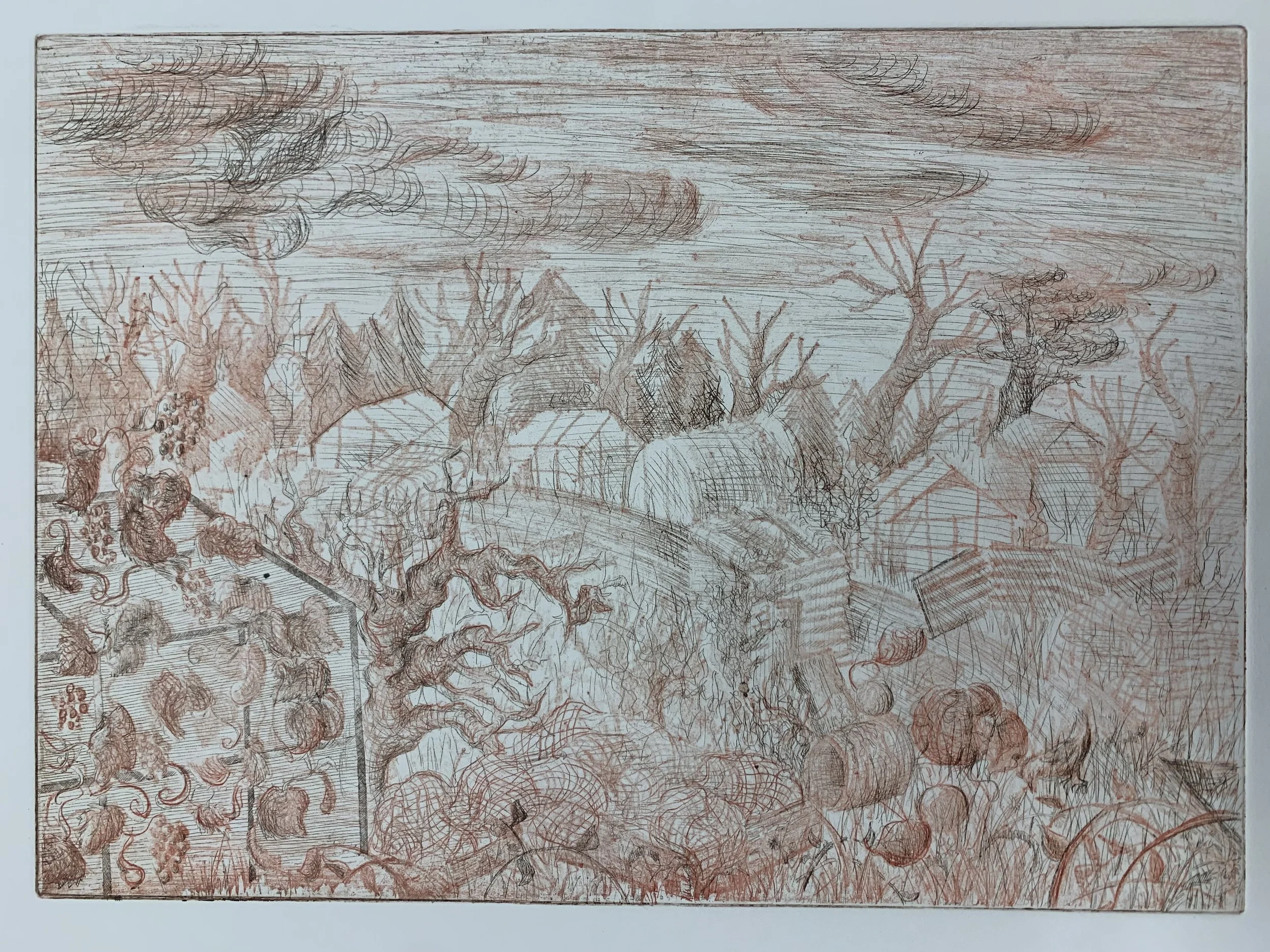 elfleda allotments low dpi.jpg